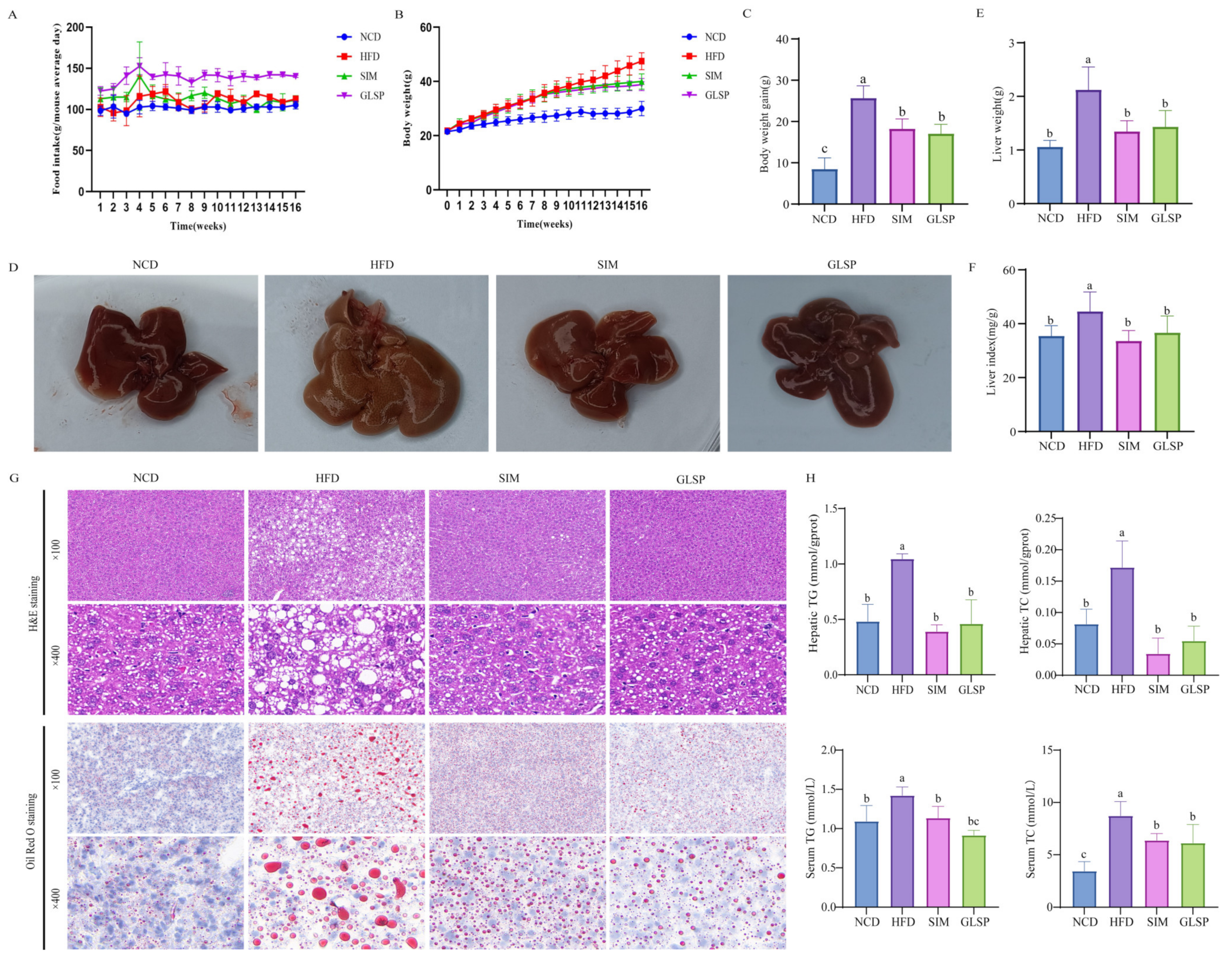 Antioxidants 13 01501 g001