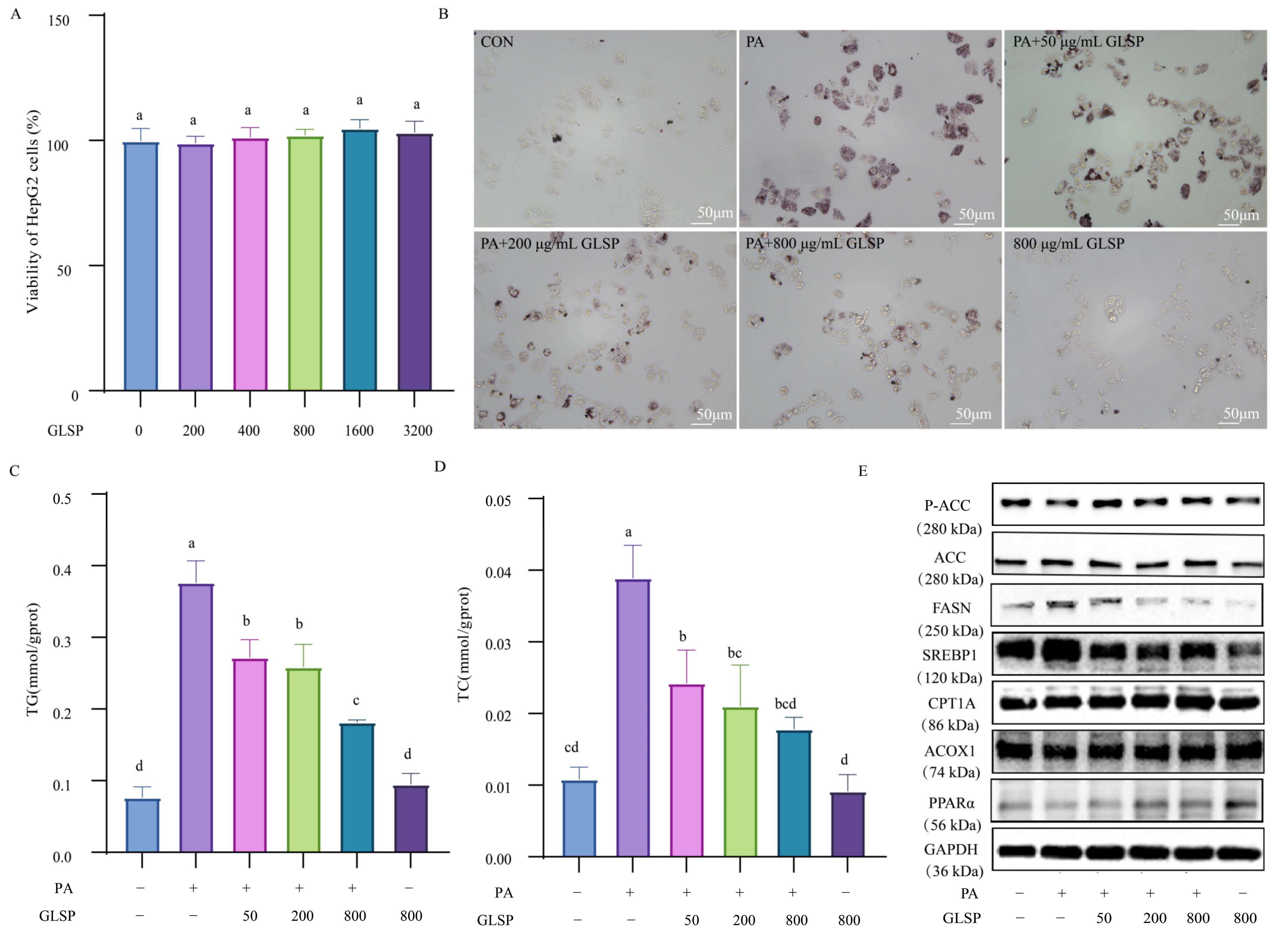 Antioxidants 13 01501 g002
