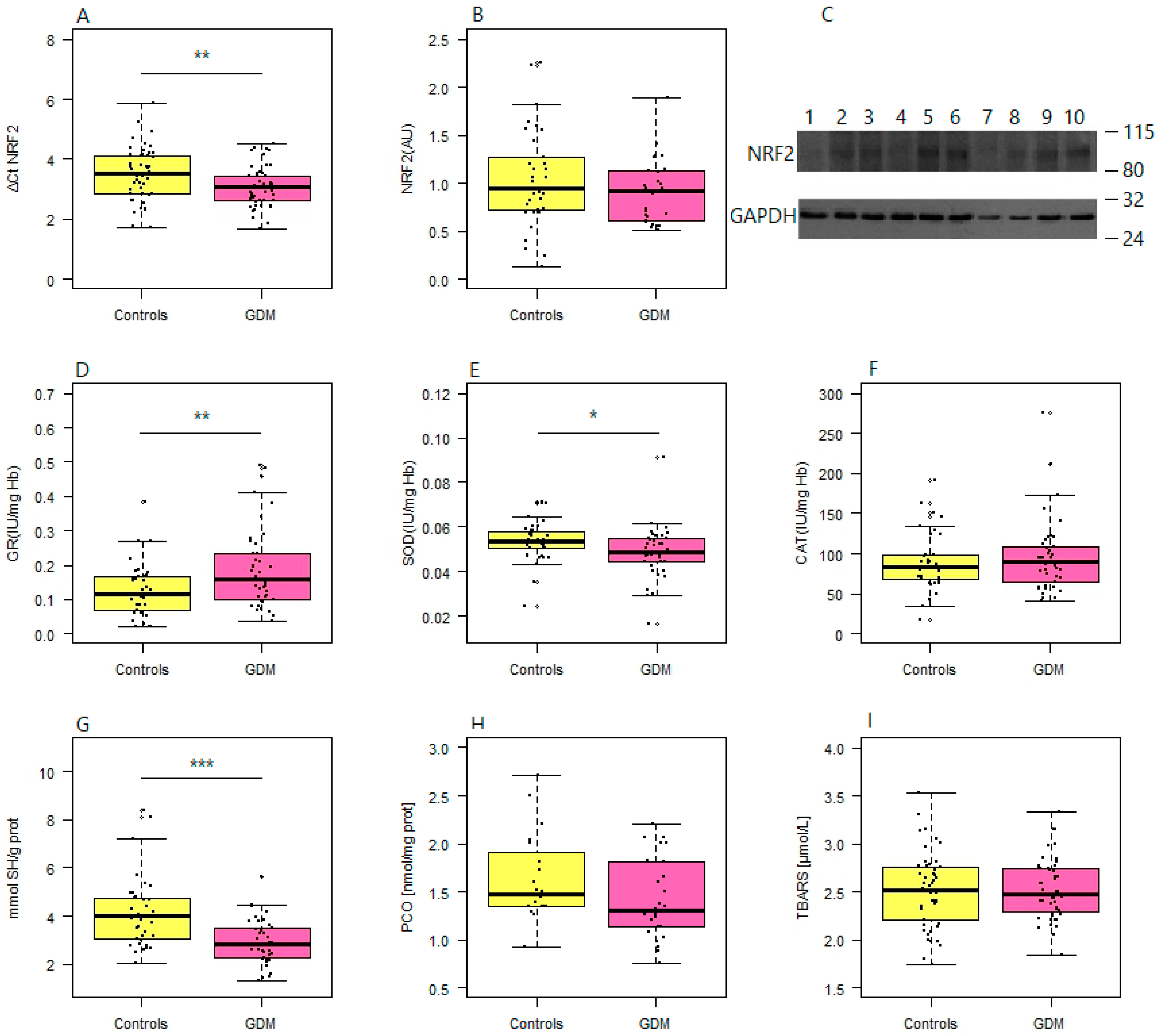 Antioxidants 13 01503 g001