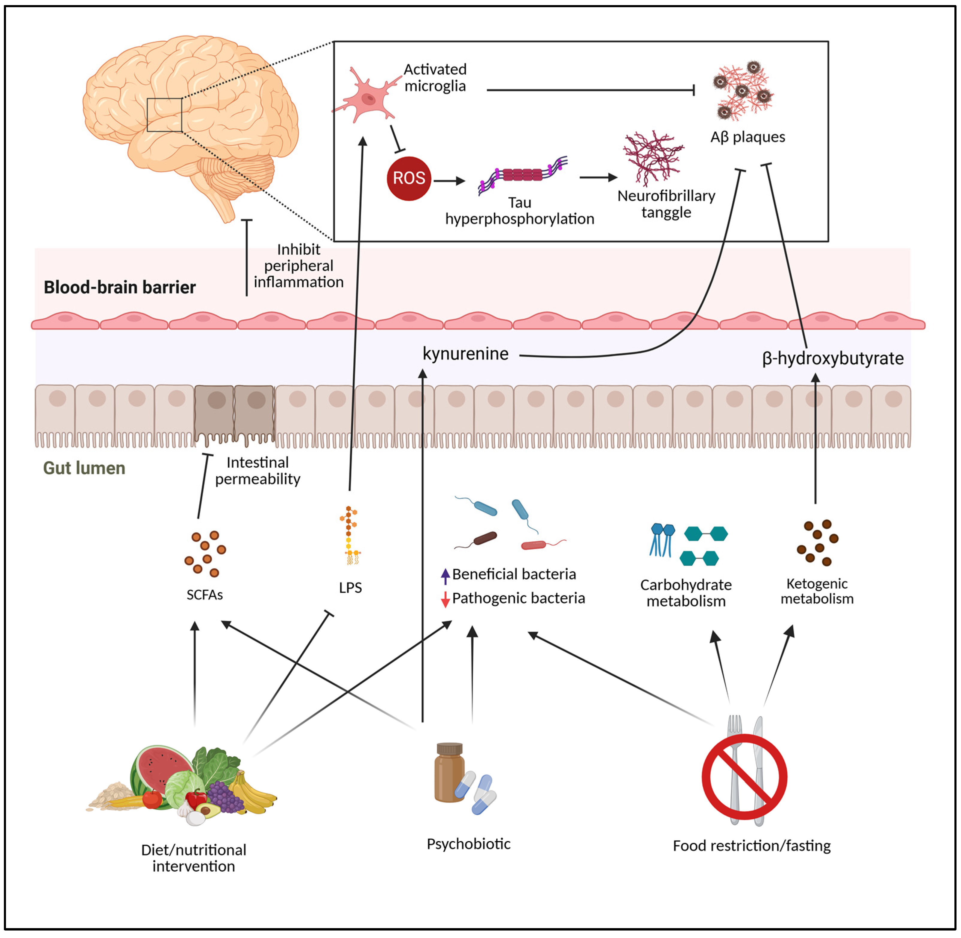 Antioxidants 13 01504 g001