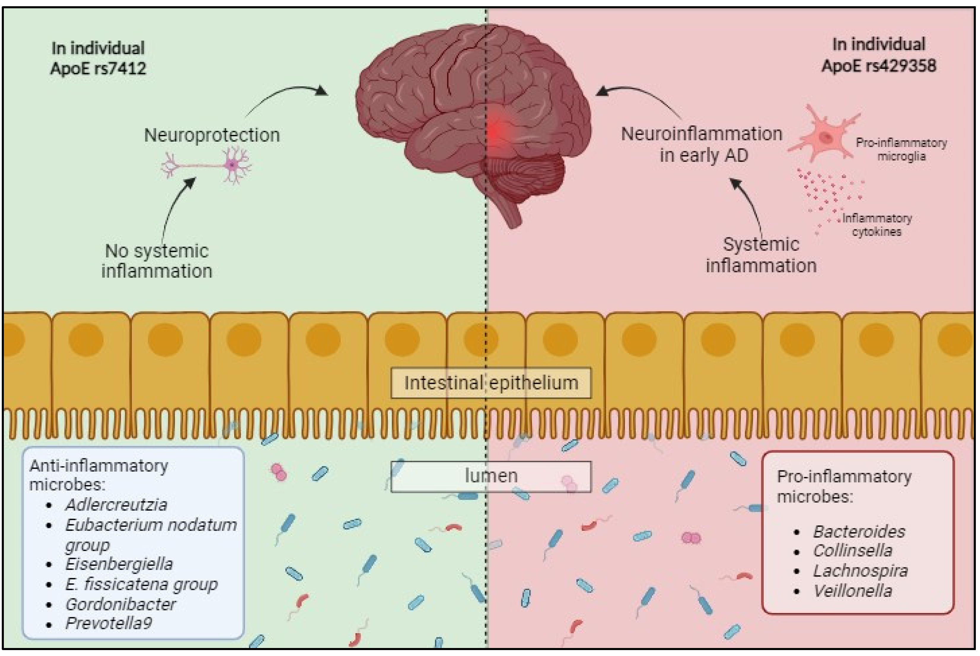 Antioxidants 13 01504 g002
