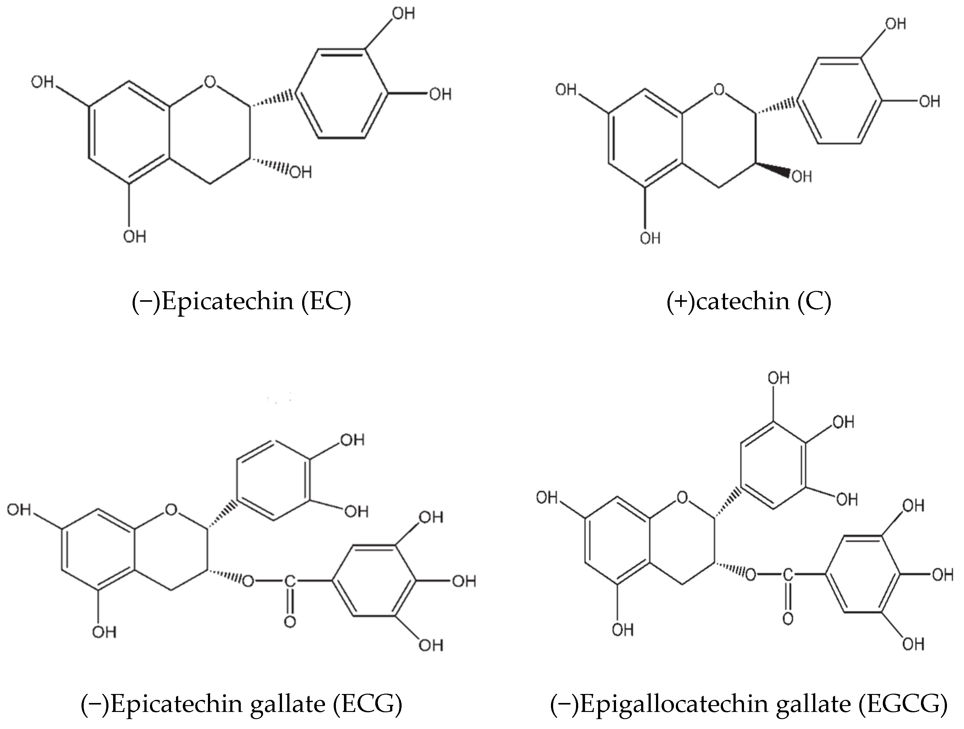 Antioxidants 13 01506 g001