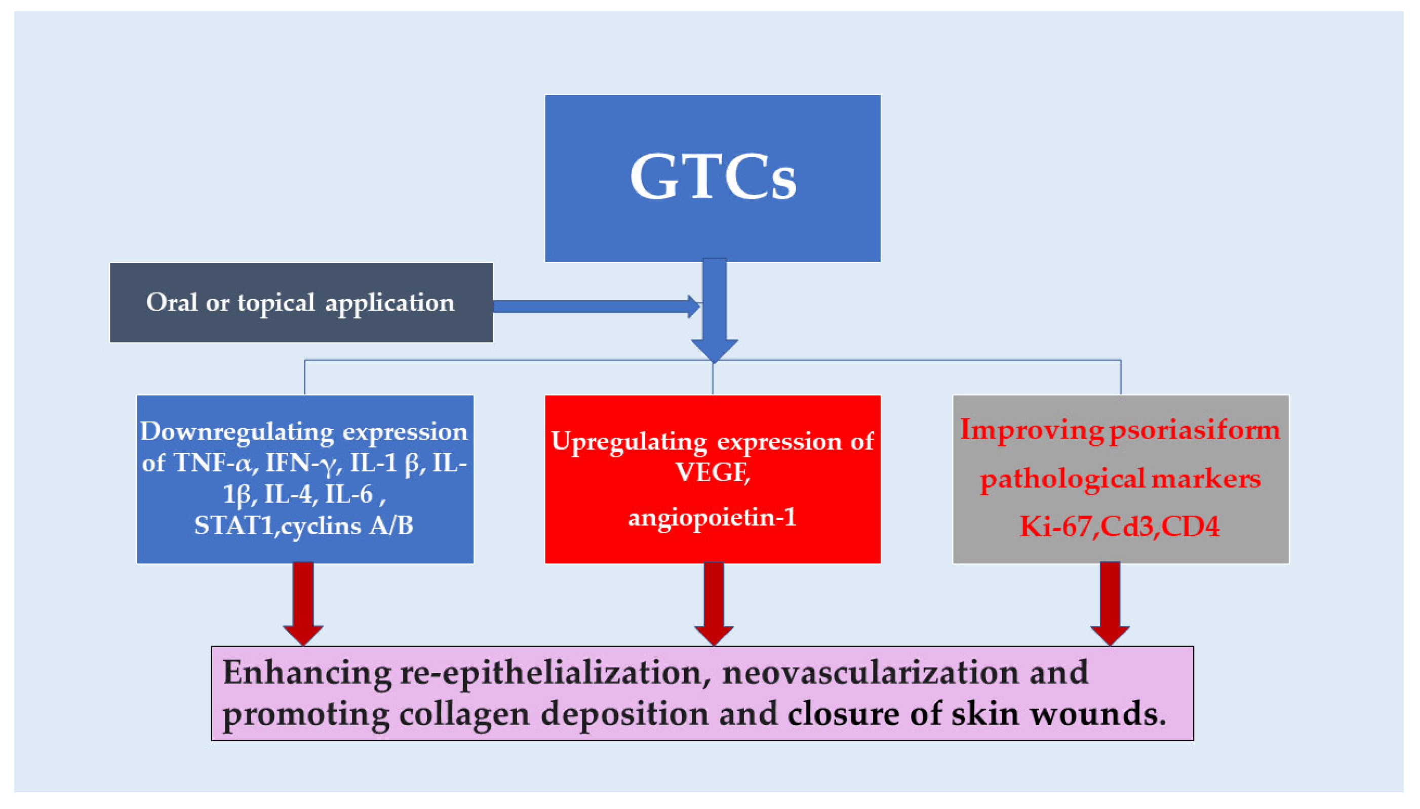 Antioxidants 13 01506 g003