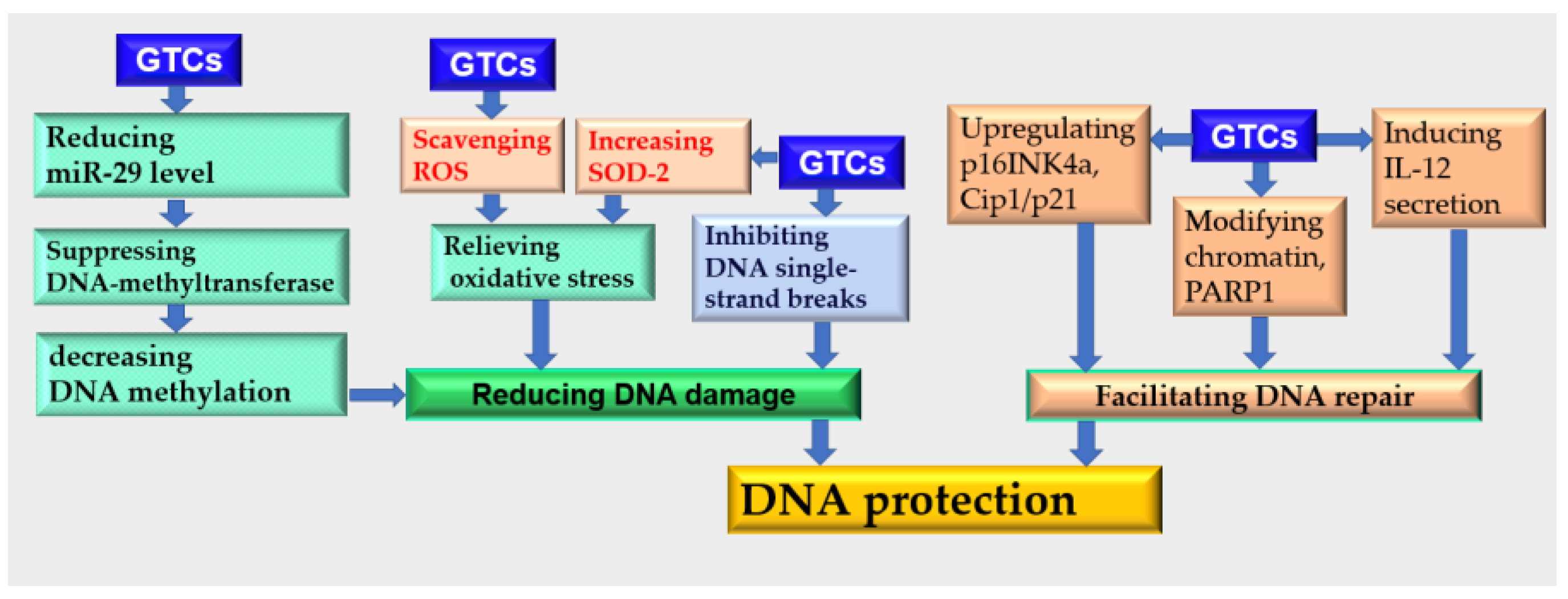 Antioxidants 13 01506 g004