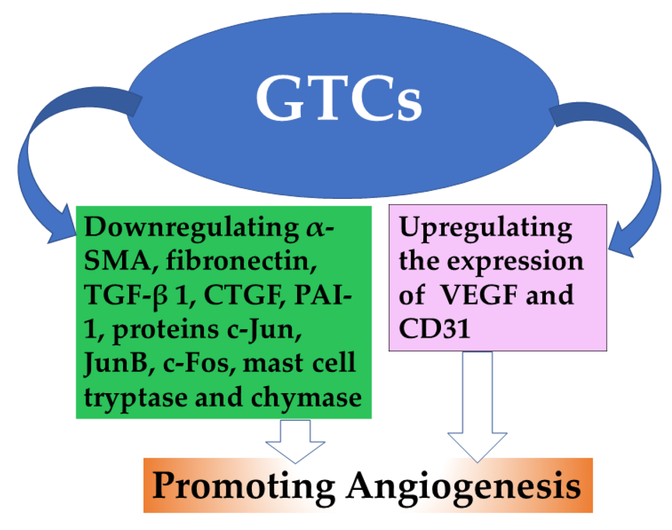 Antioxidants 13 01506 g005