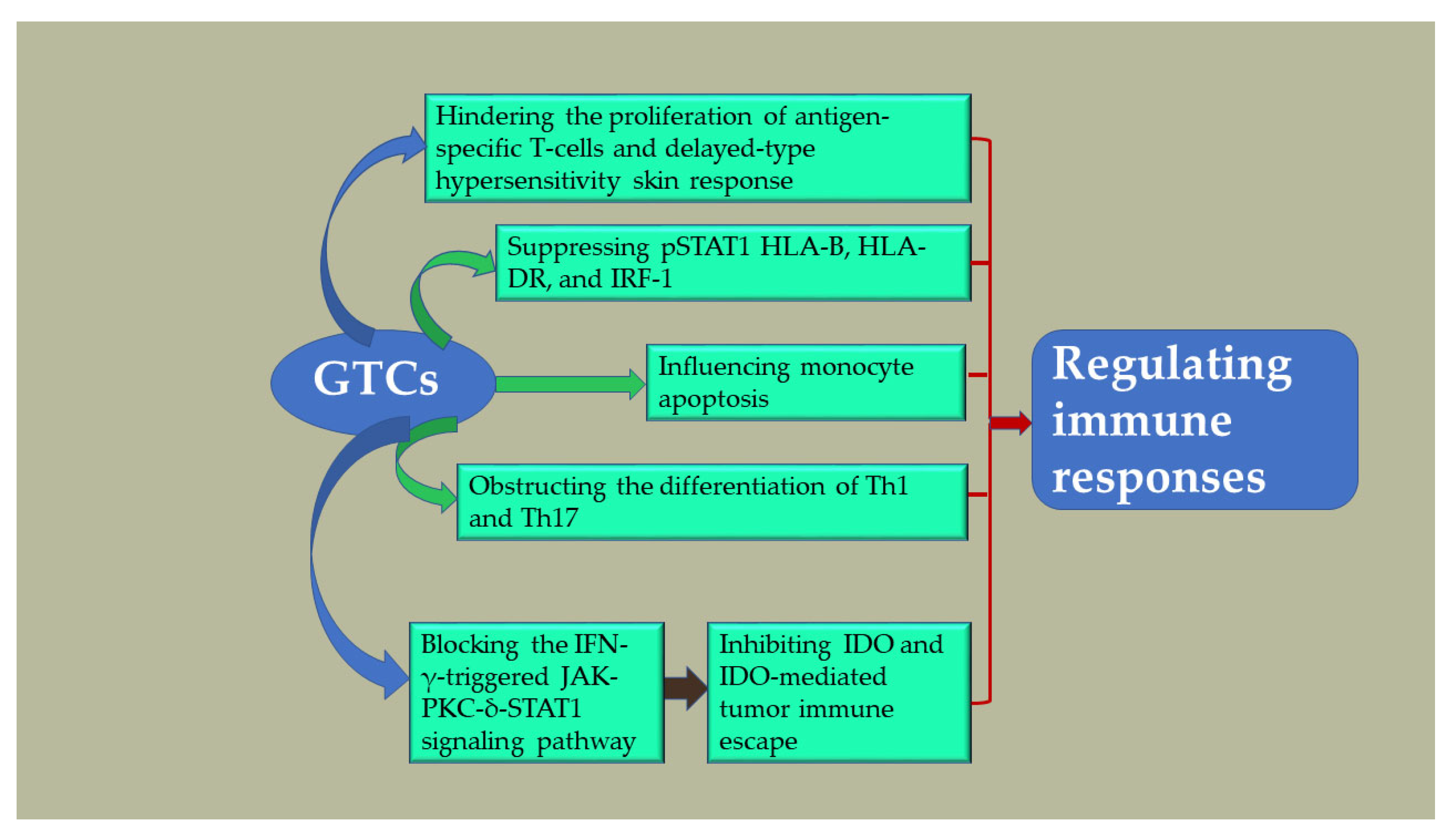 Antioxidants 13 01506 g006