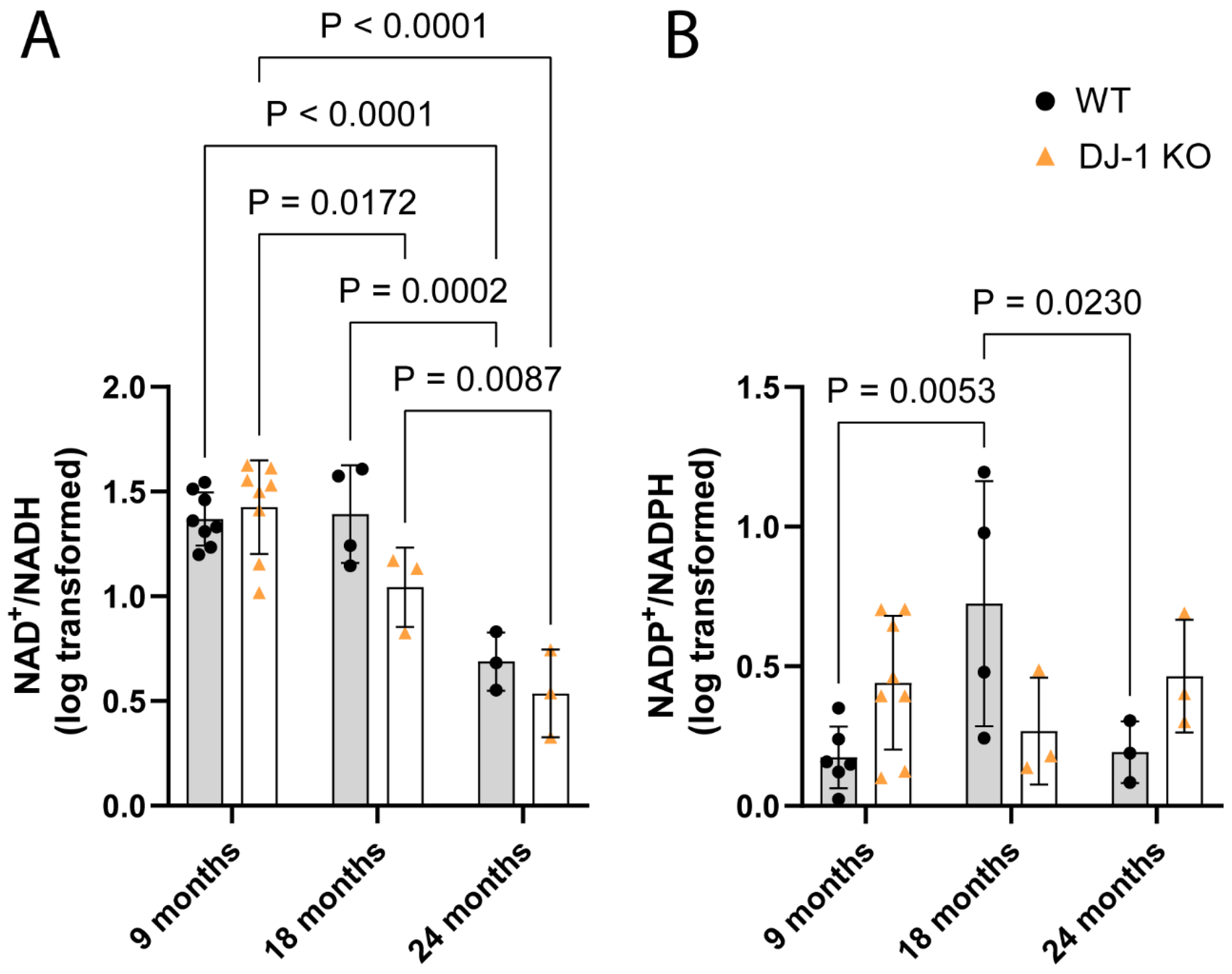 Antioxidants 13 01509 g005