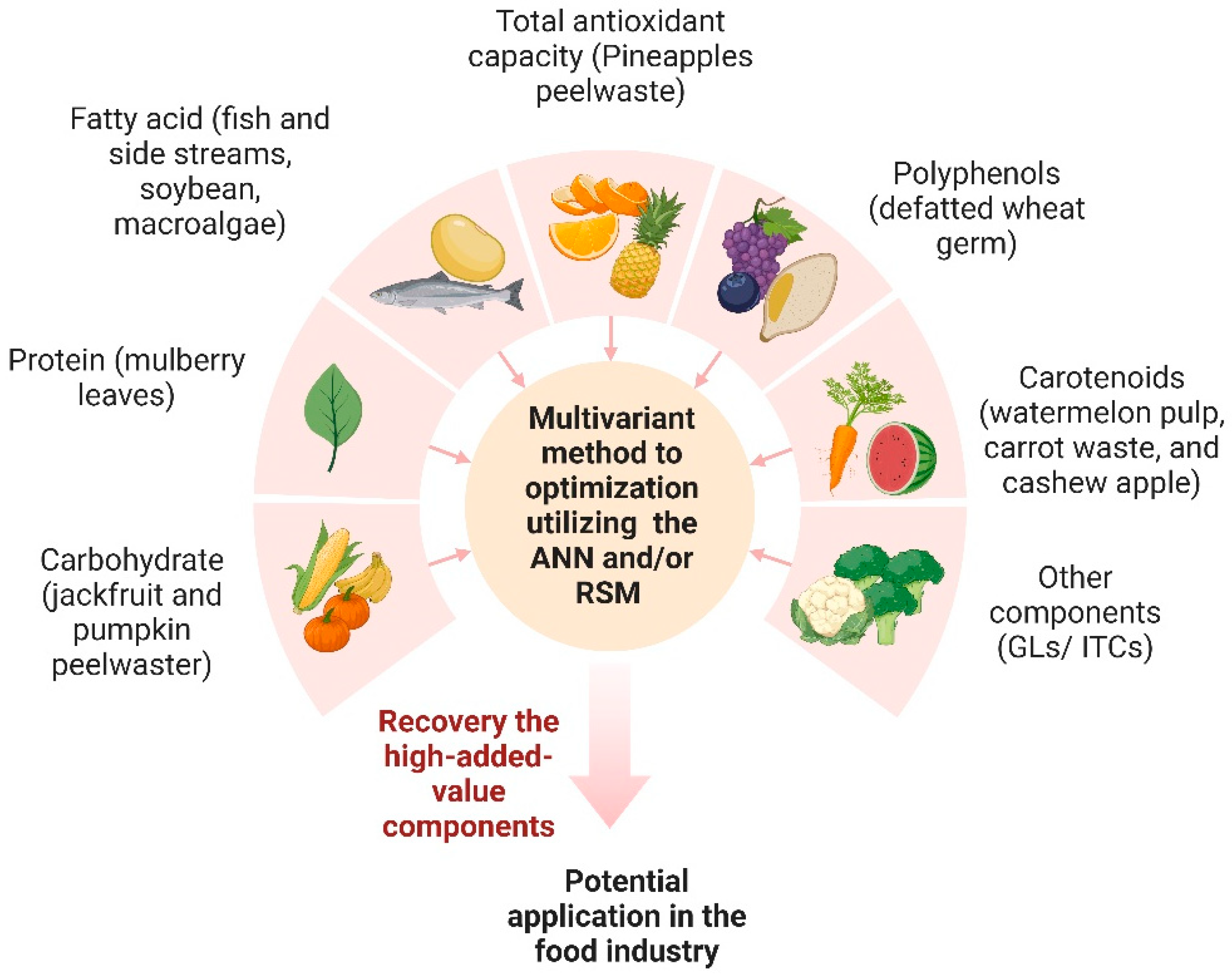 Antioxidants 13 01510 g003