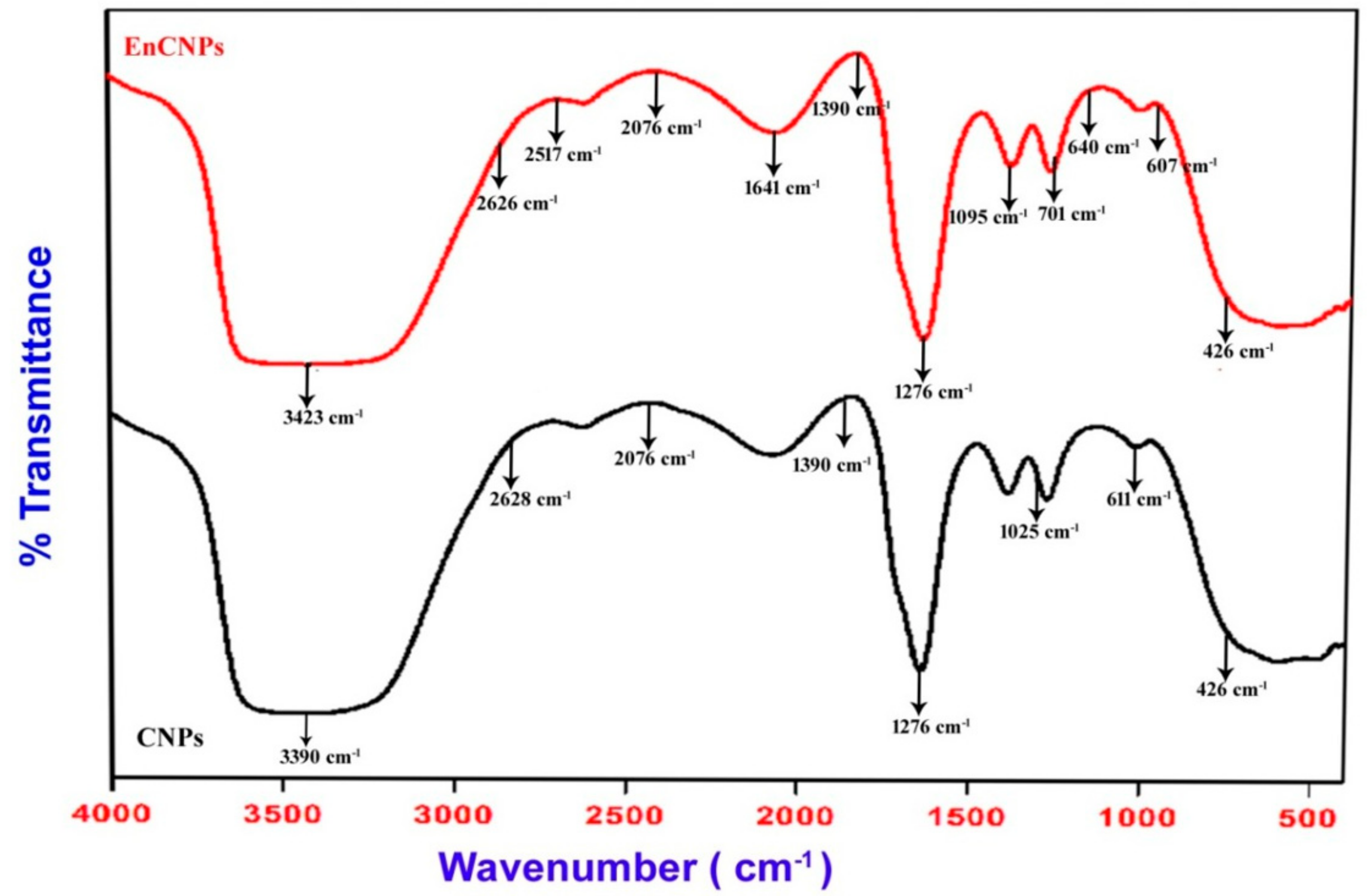 Antioxidants 13 01513 g005