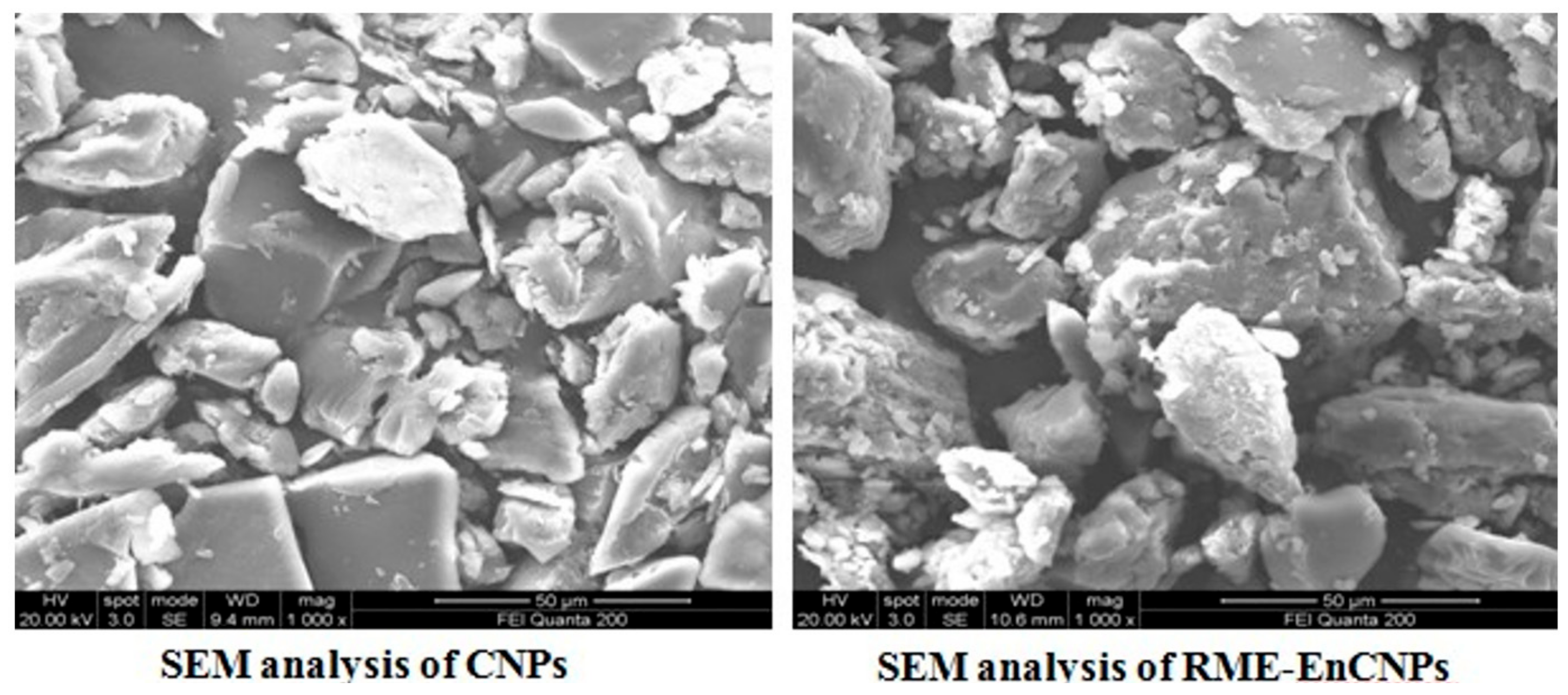 Antioxidants 13 01513 g008