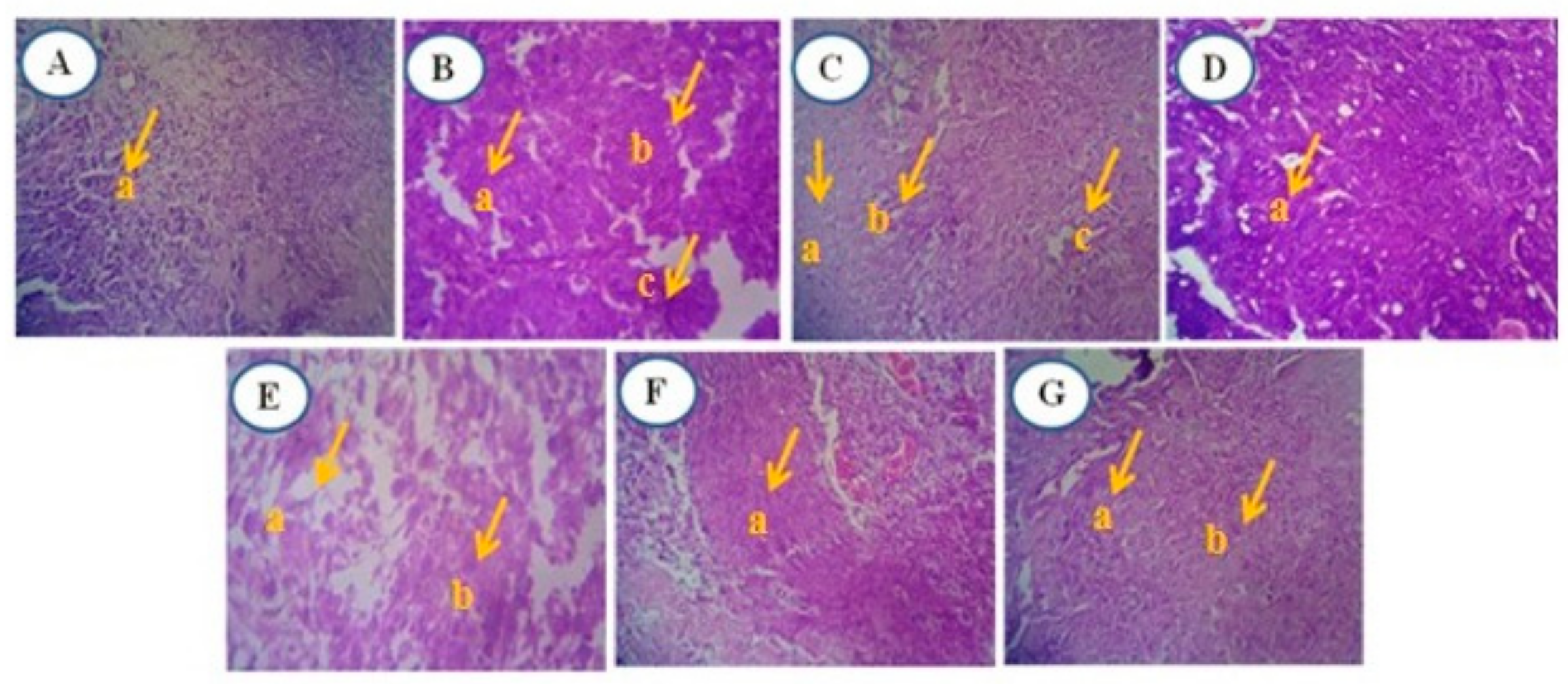 Antioxidants 13 01513 g012