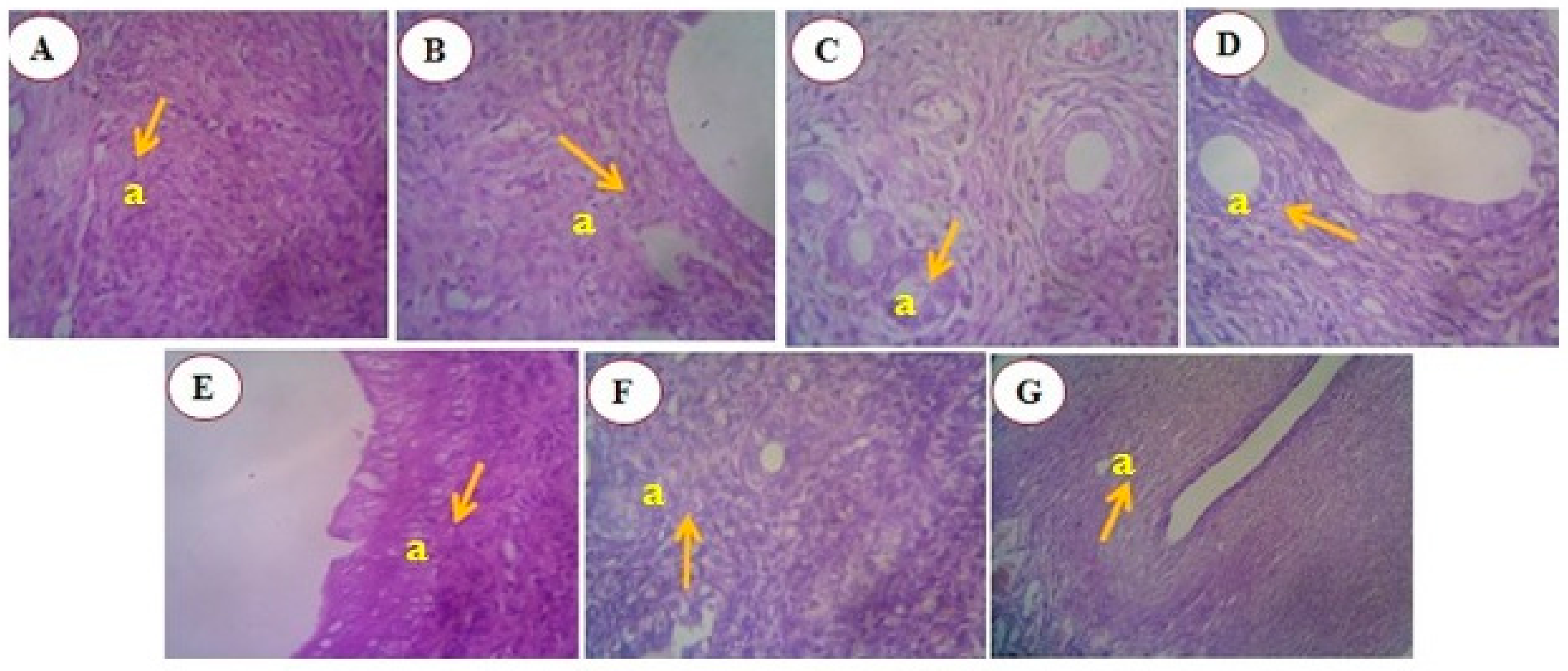 Antioxidants 13 01513 g015