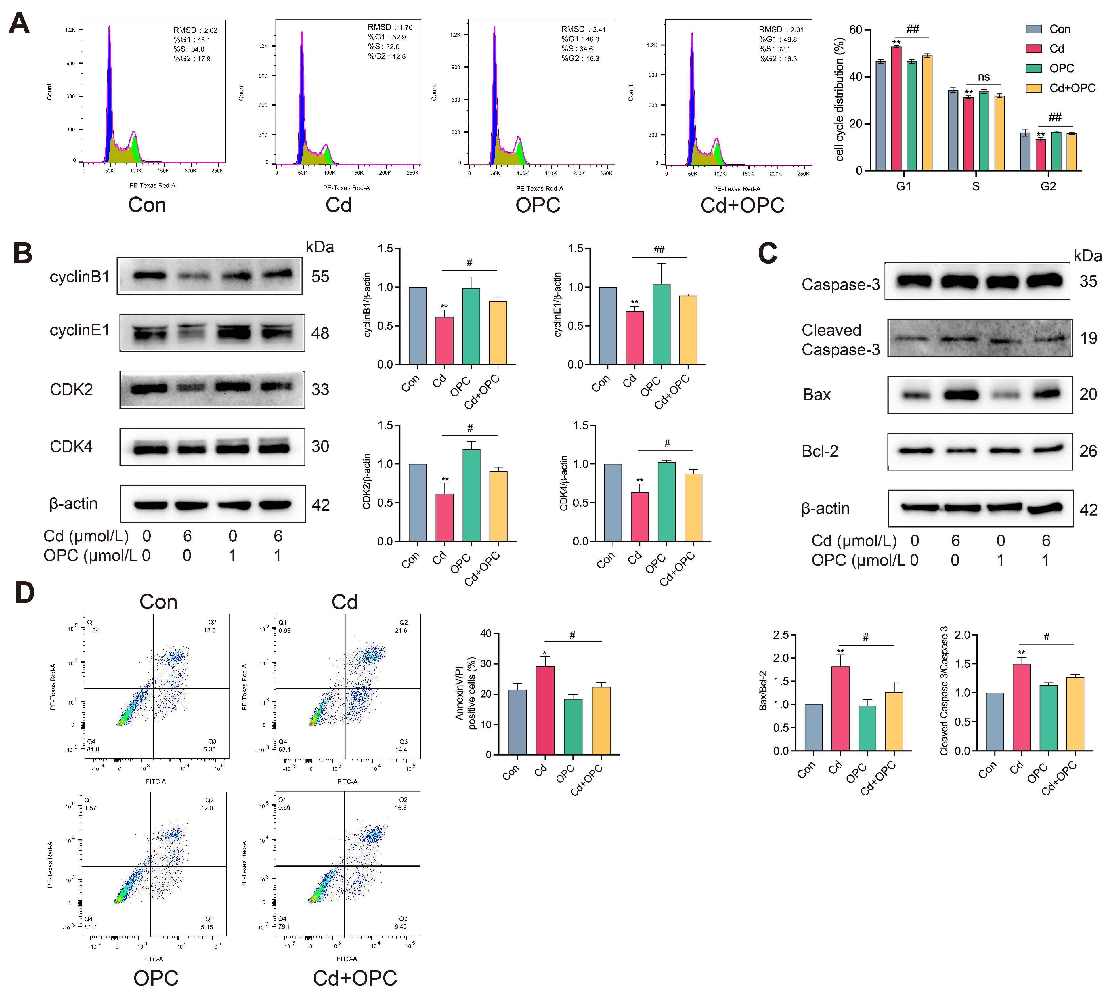 Antioxidants 13 01515 g003