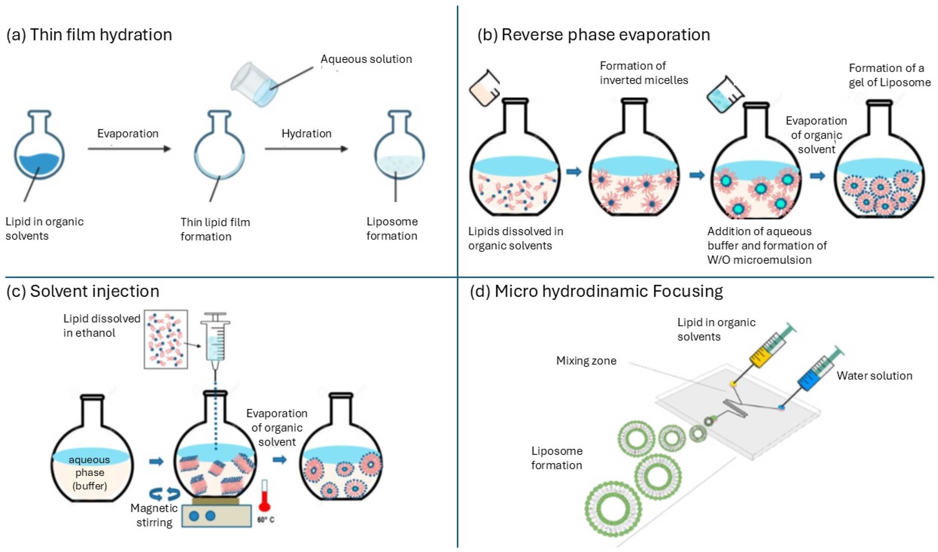 Antioxidants 13 01516 g002 Antioxidants 13 01516 g002