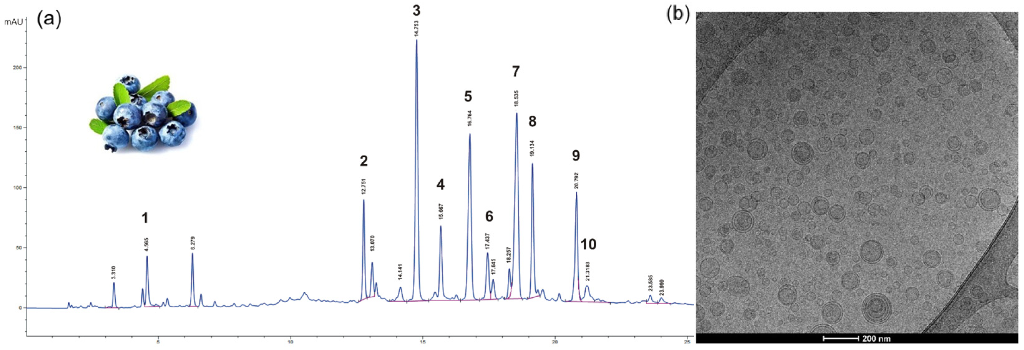 Antioxidants 13 01516 g005 Antioxidants 13 01516 g005