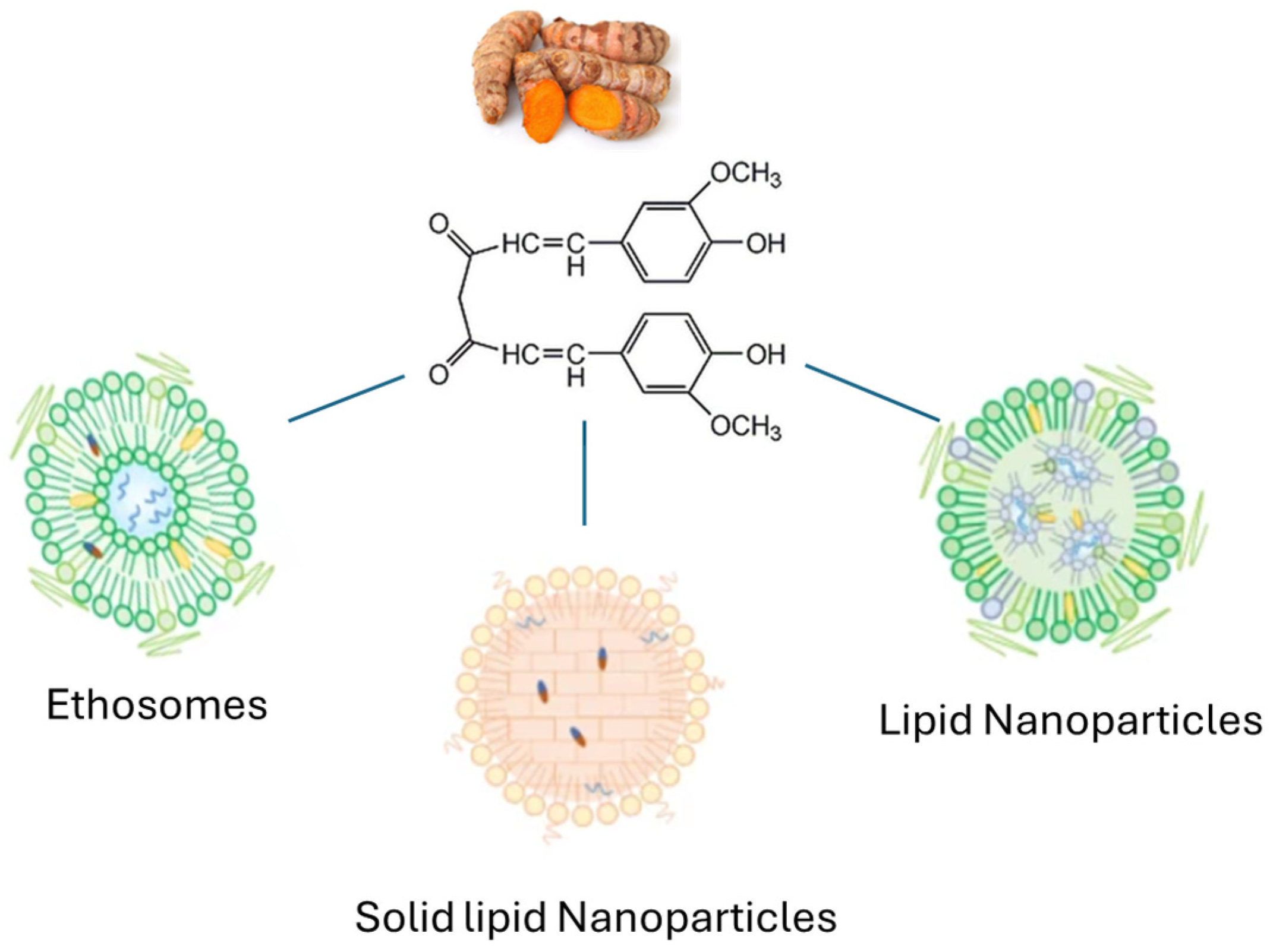Antioxidants 13 01516 g009 Antioxidants 13 01516 g009