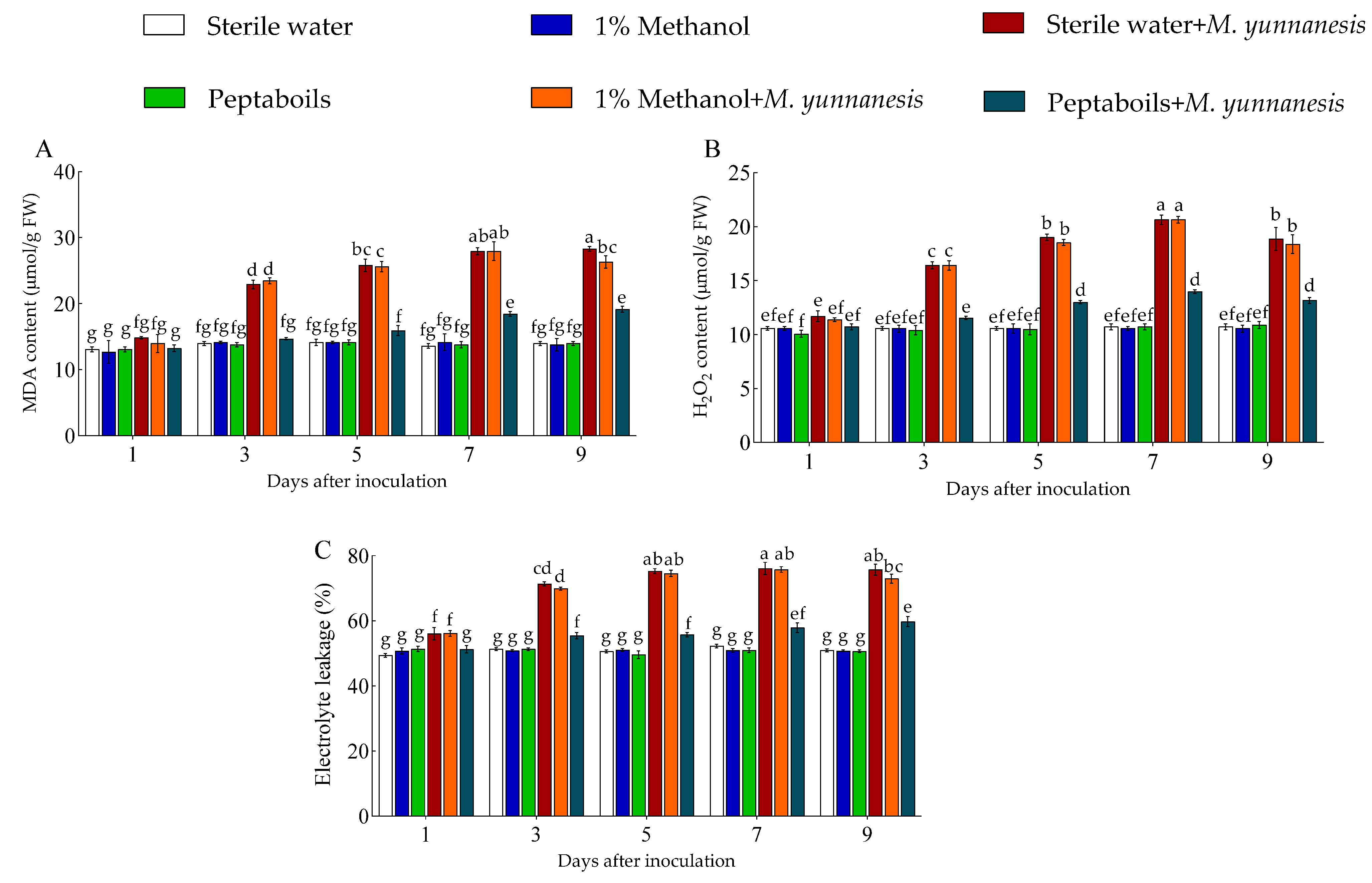 Antioxidants 13 01517 g002