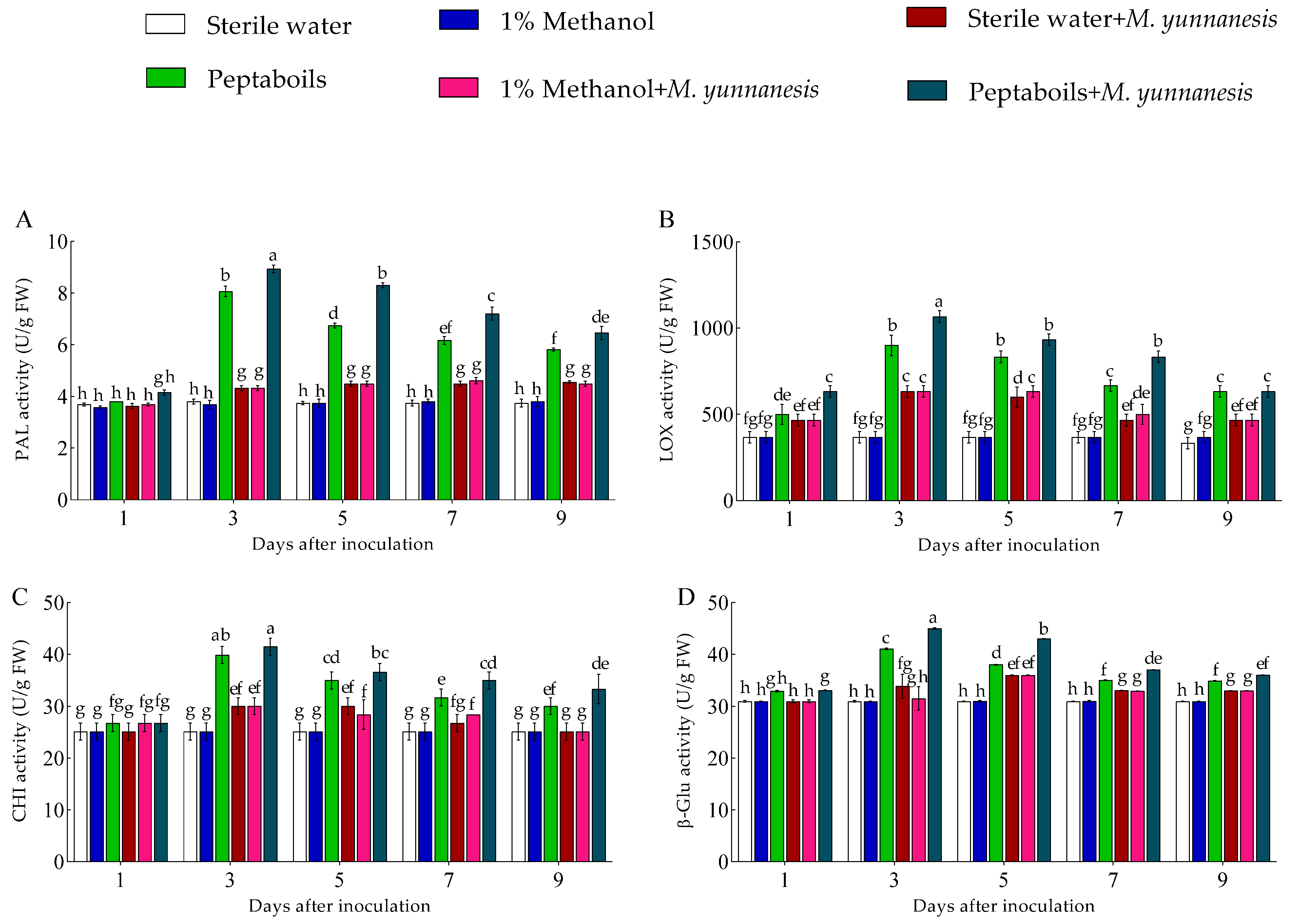 Antioxidants 13 01517 g004