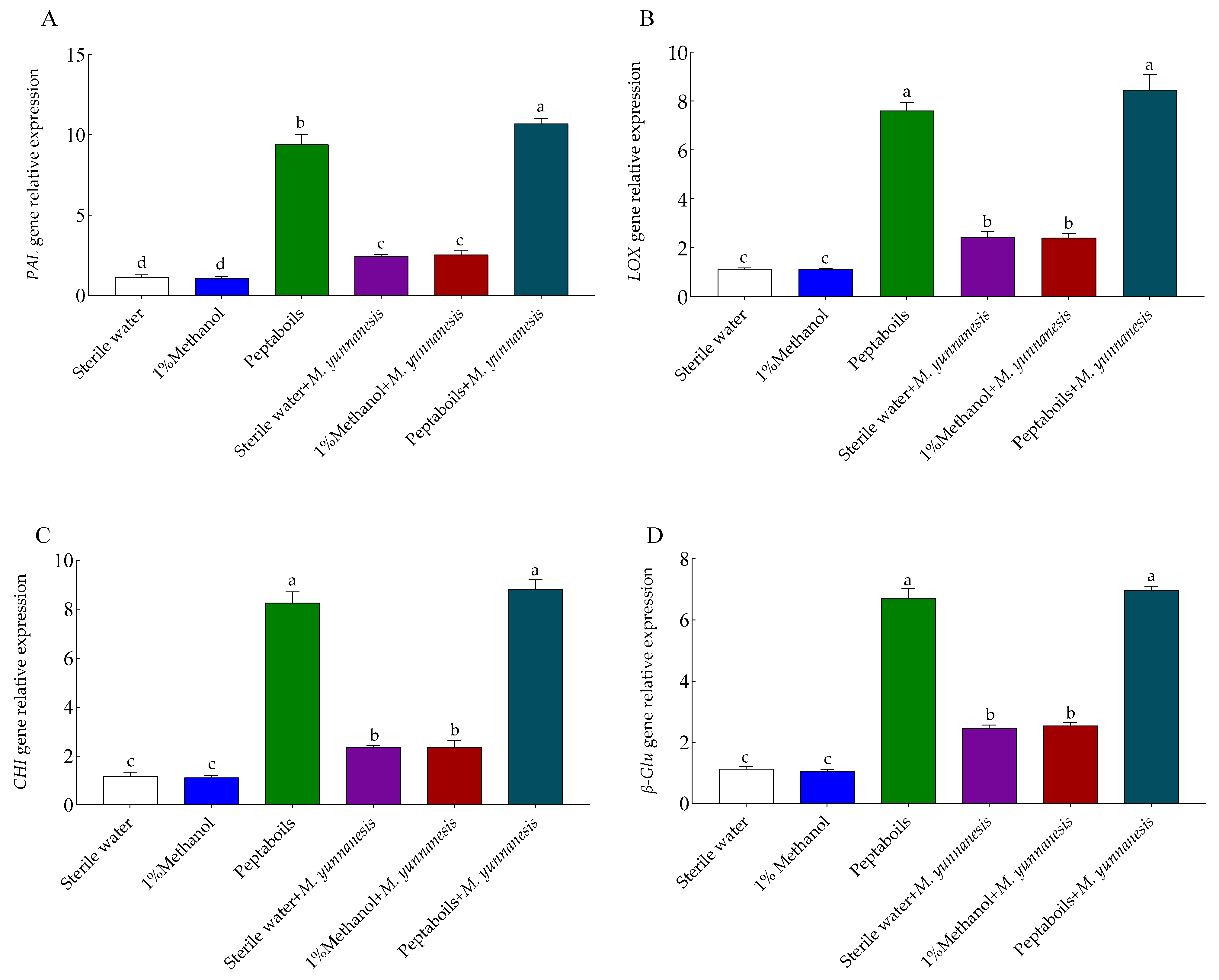 Antioxidants 13 01517 g006