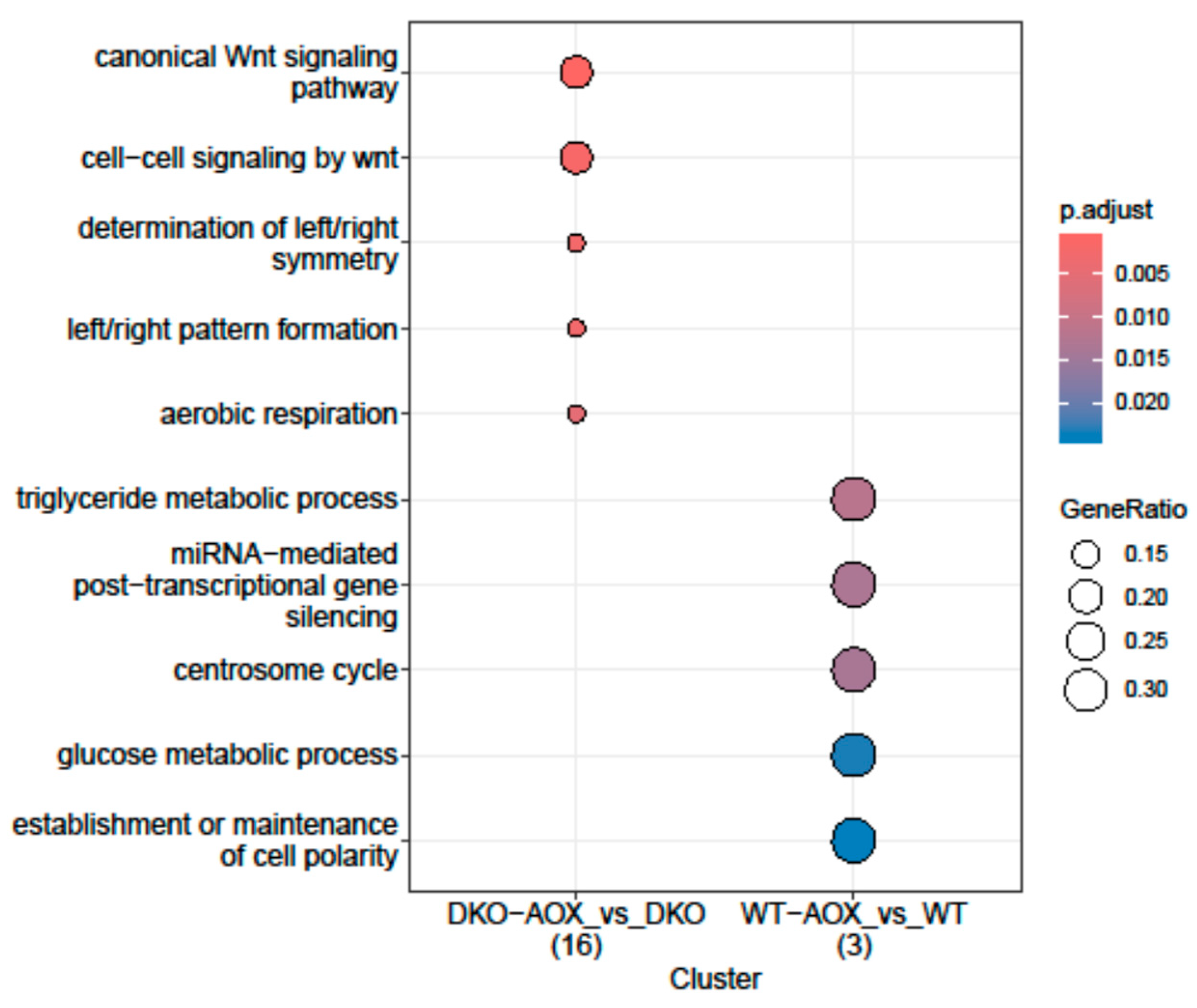 Antioxidants 13 01520 g006