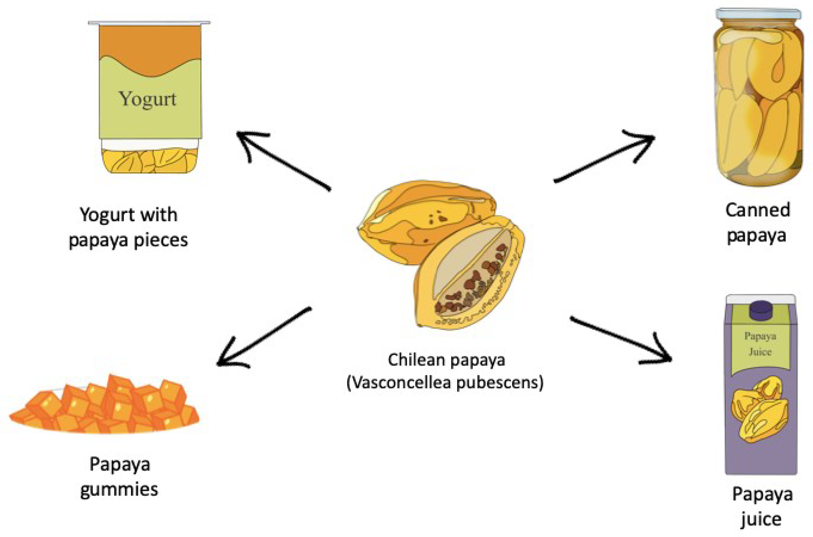 Antioxidants 13 01521 g006