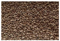 Antioxidants 13 01521 i018