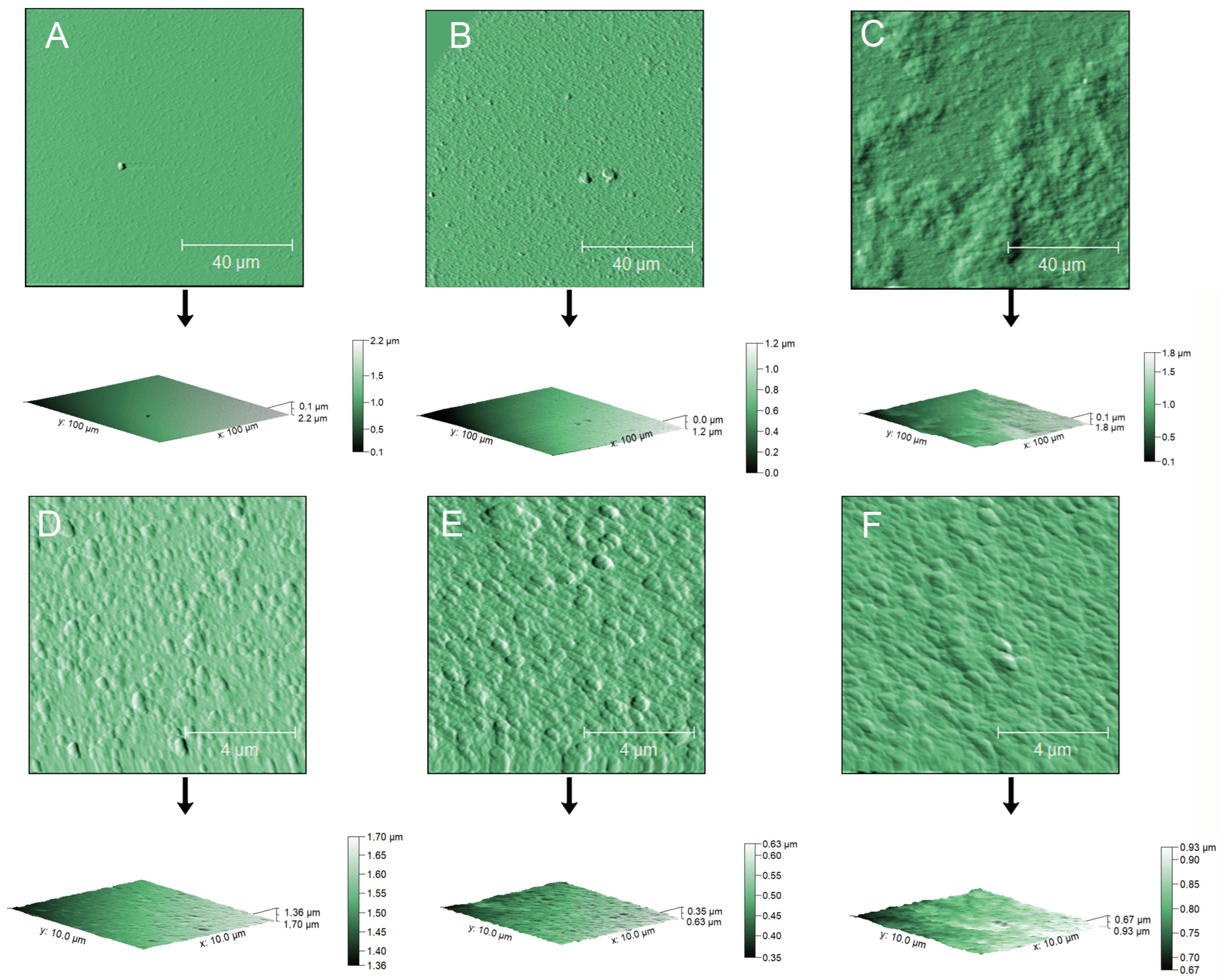 Antioxidants 13 01522 g004