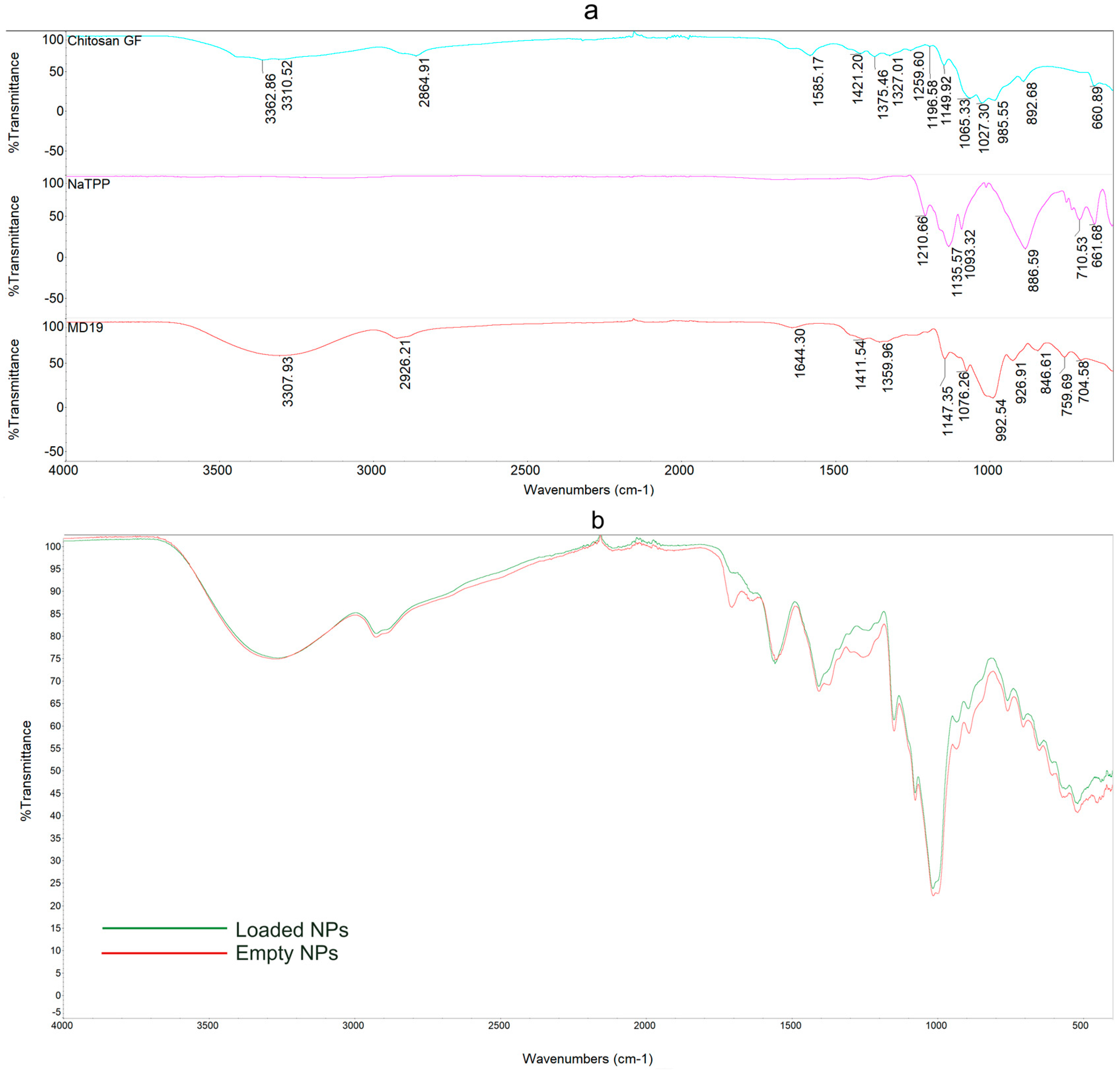 Antioxidants 13 01522 g005