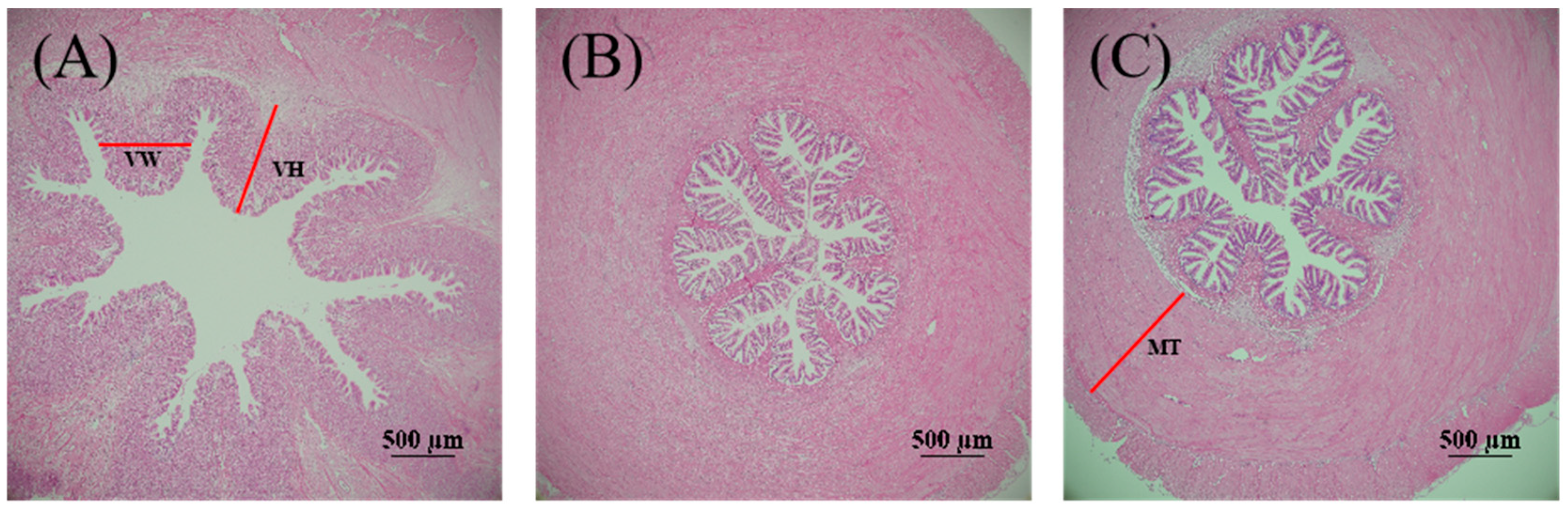 Antioxidants 13 01524 g002a