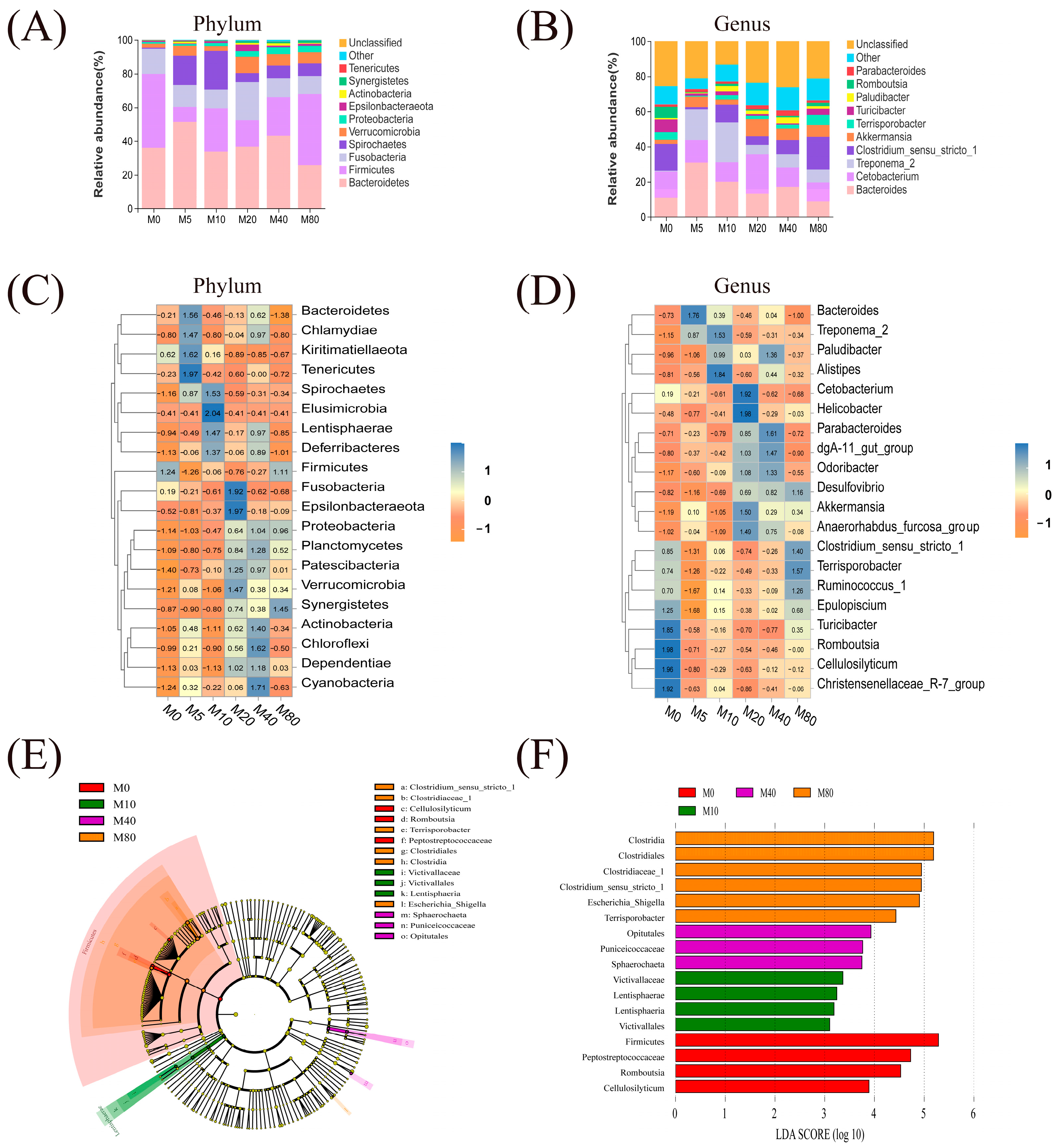 Antioxidants 13 01524 g005