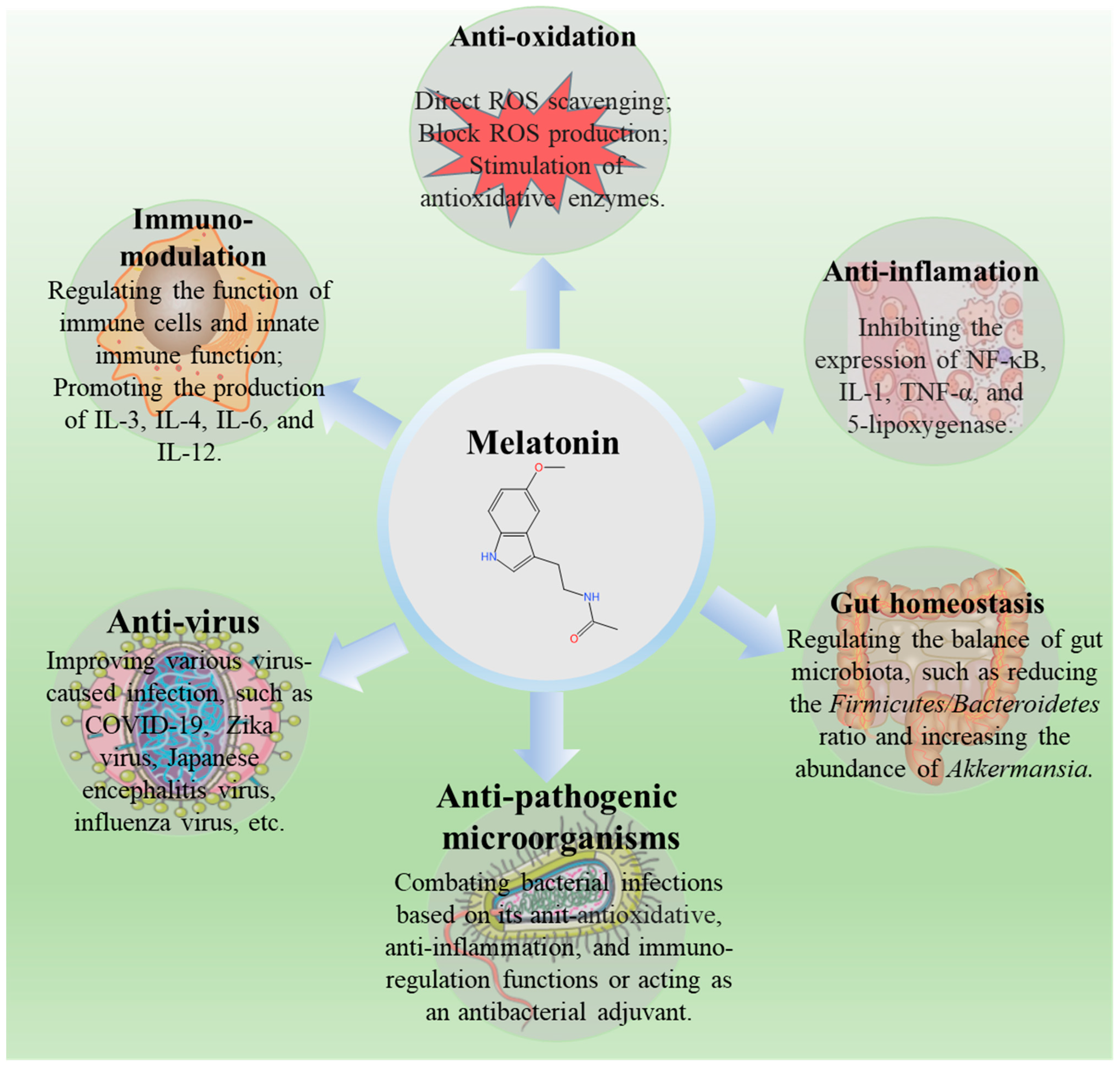 Antioxidants 13 01528 g002