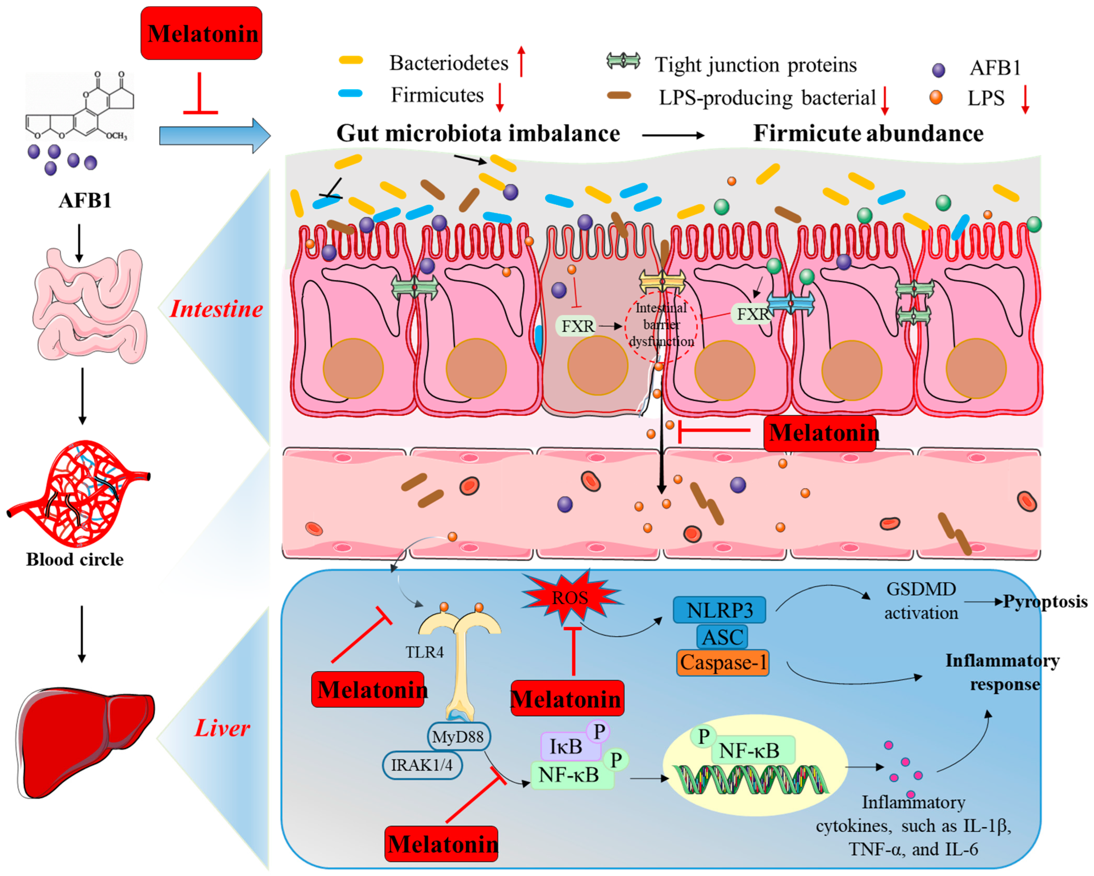 Antioxidants 13 01528 g004