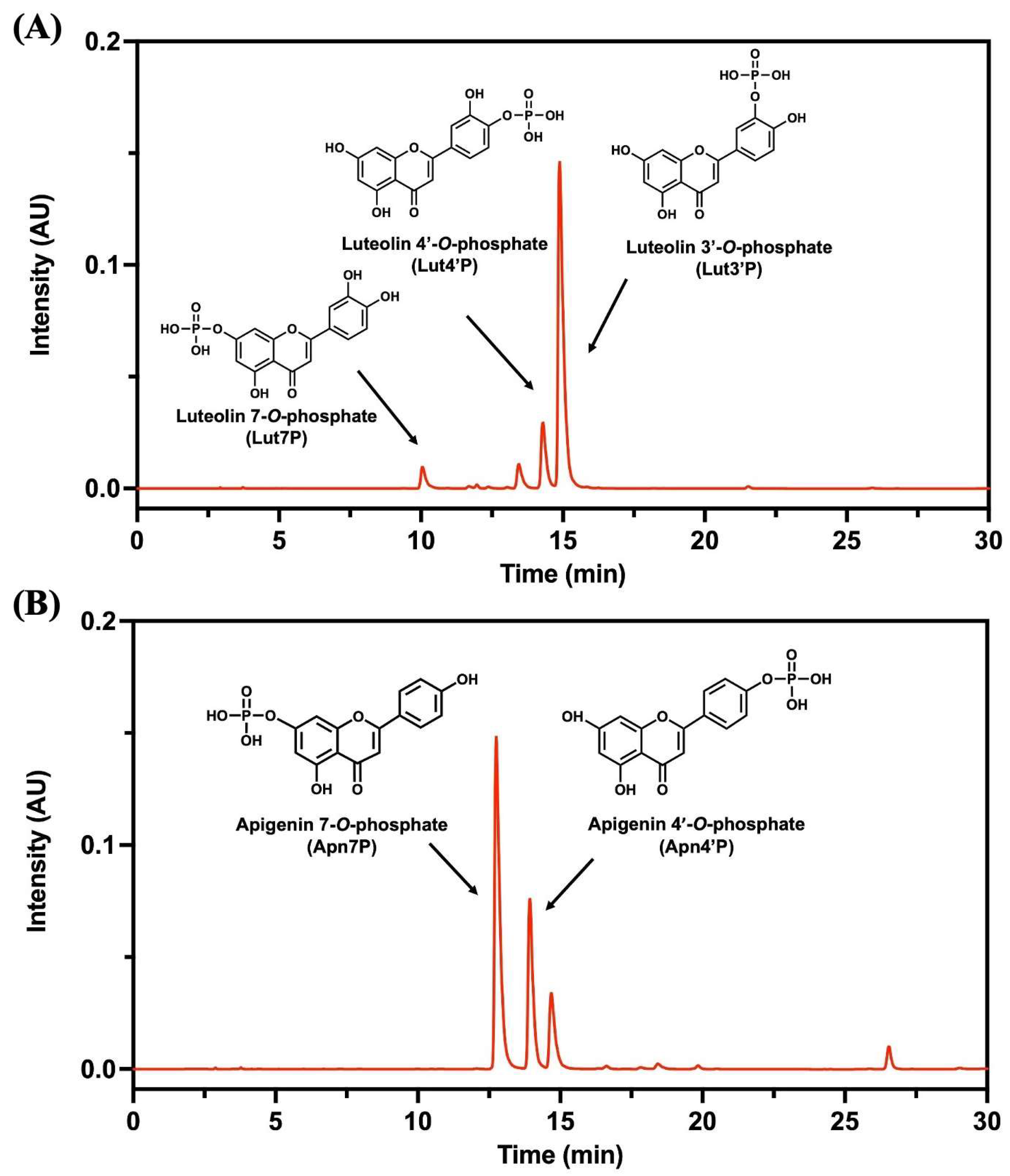 Antioxidants 13 01530 g001