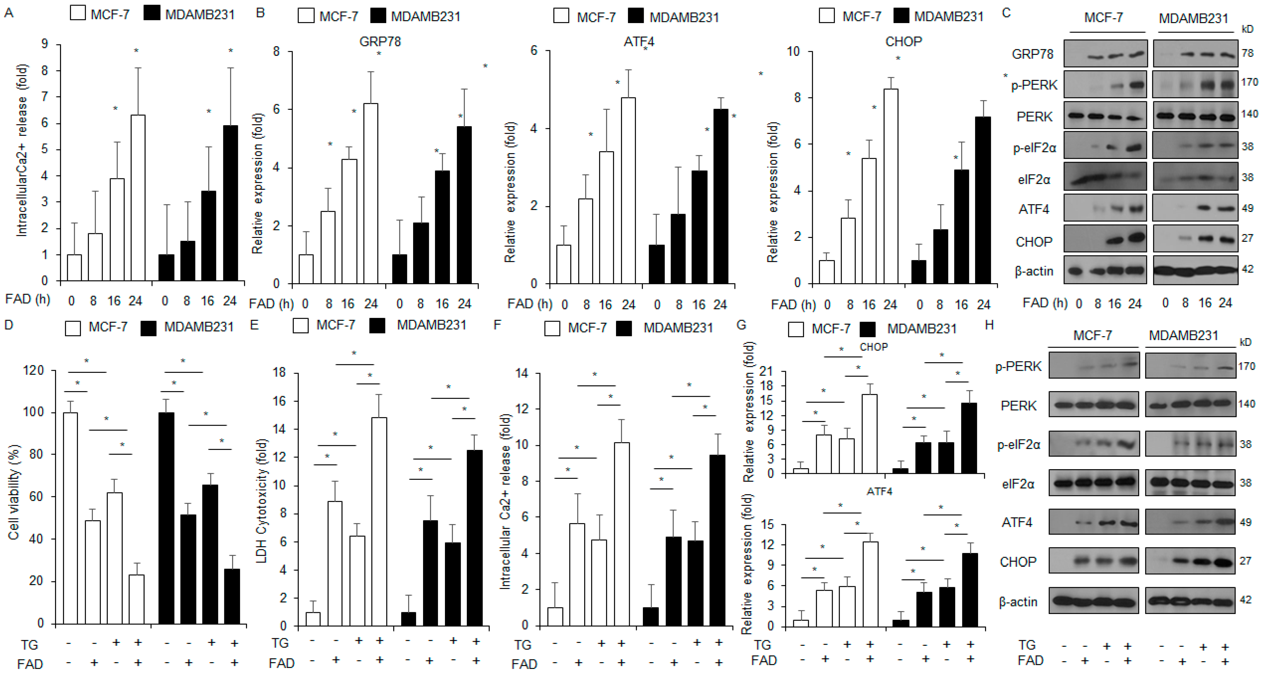 Antioxidants 13 01533 g004