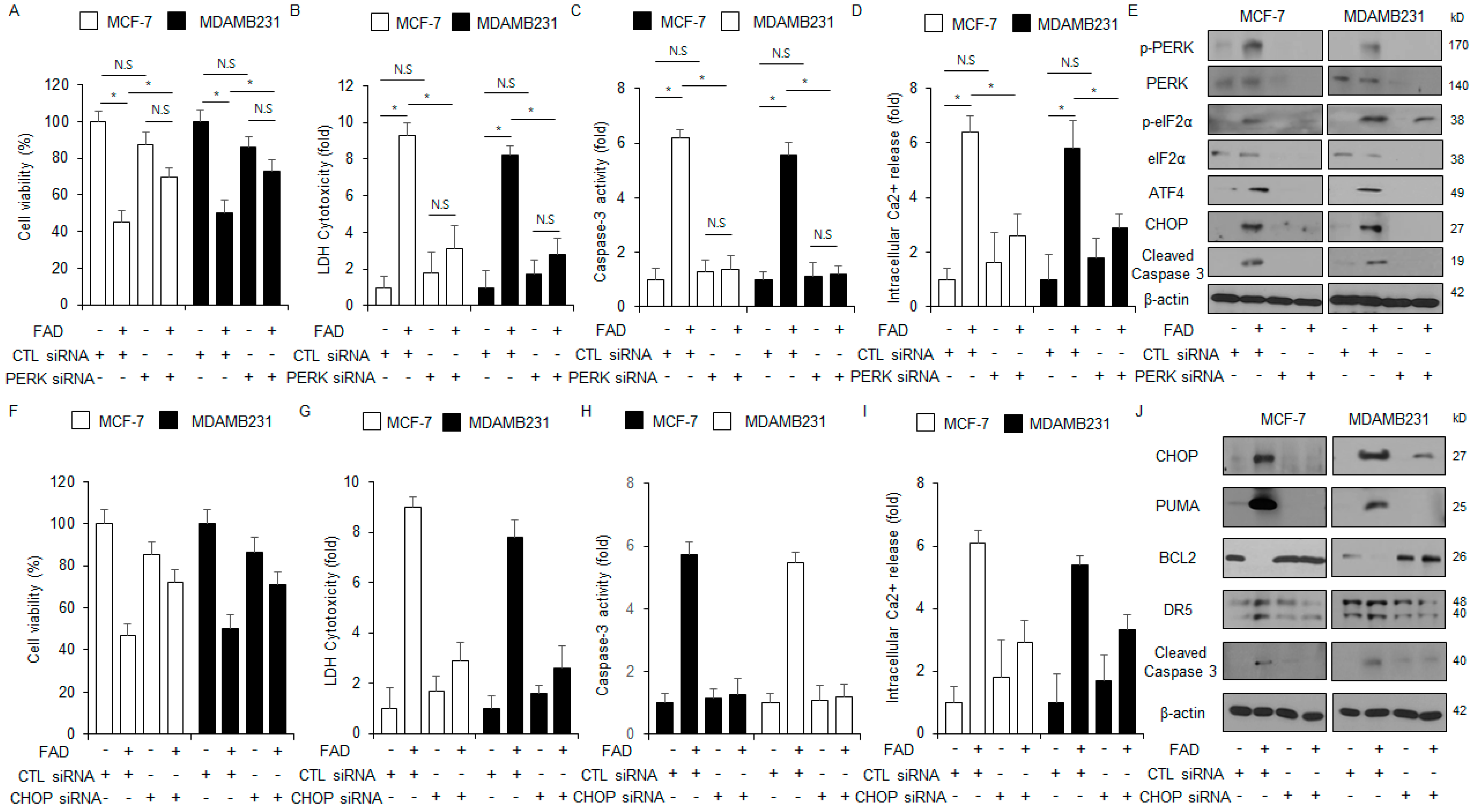 Antioxidants 13 01533 g005