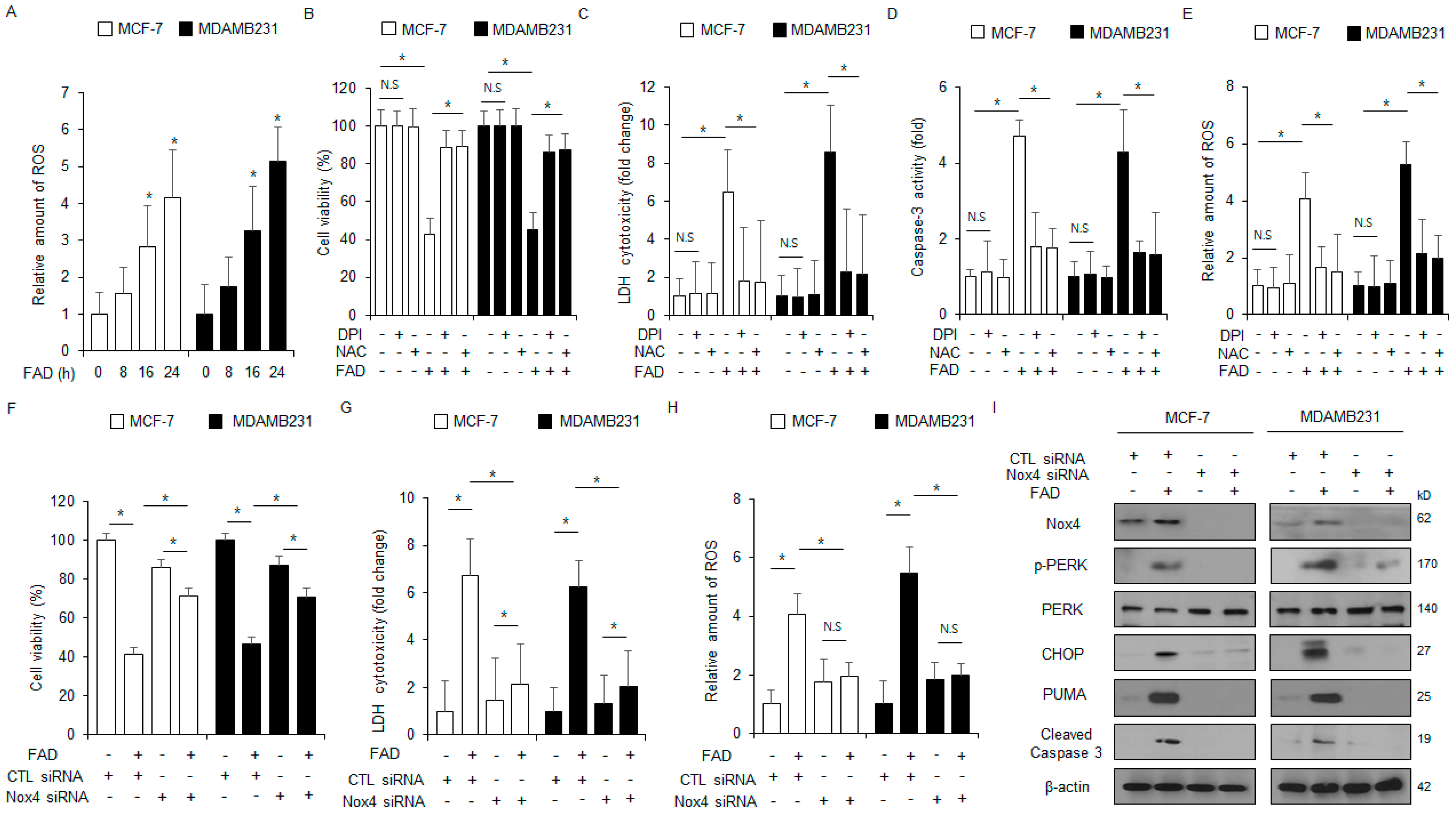 Antioxidants 13 01533 g006