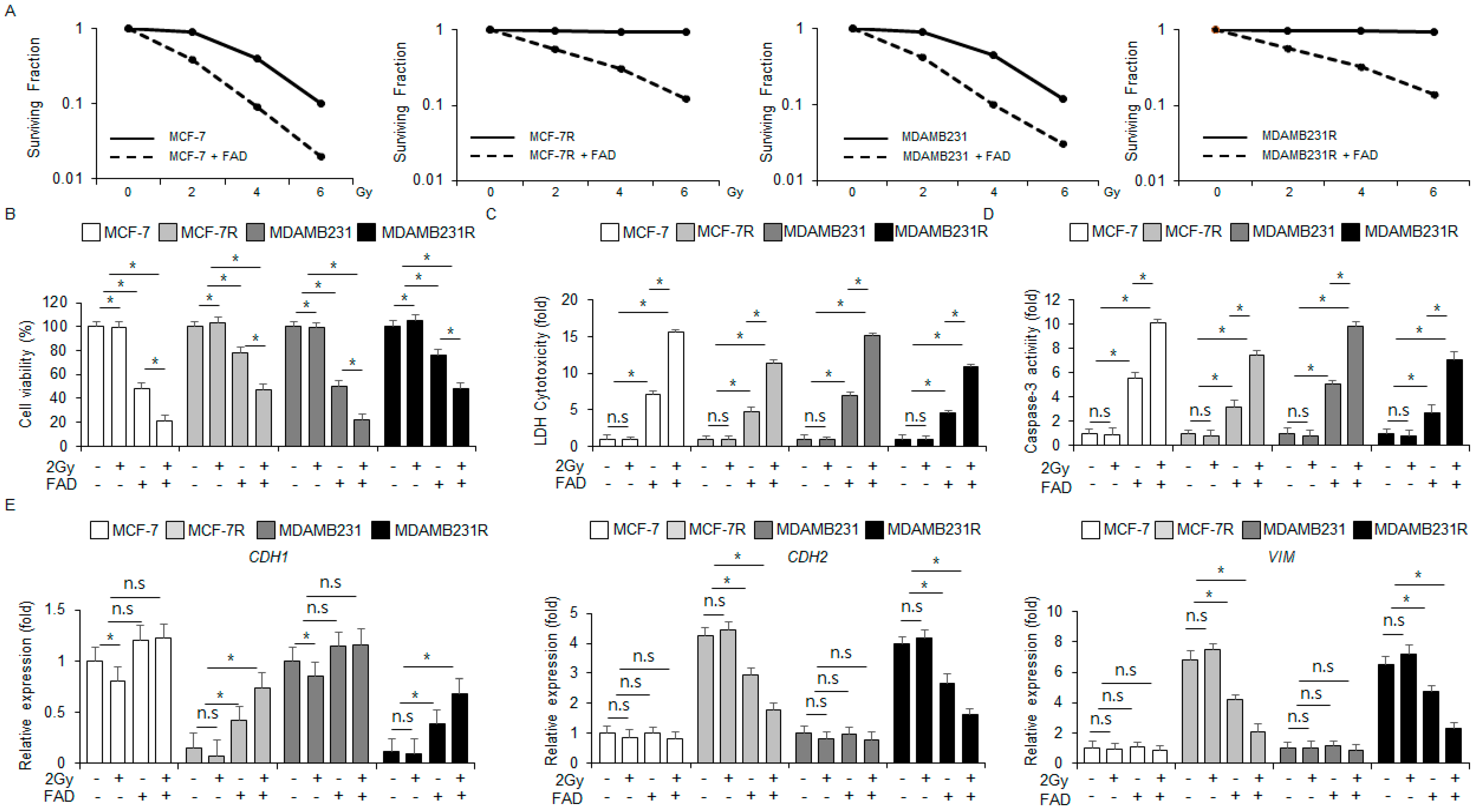 Antioxidants 13 01533 g007
