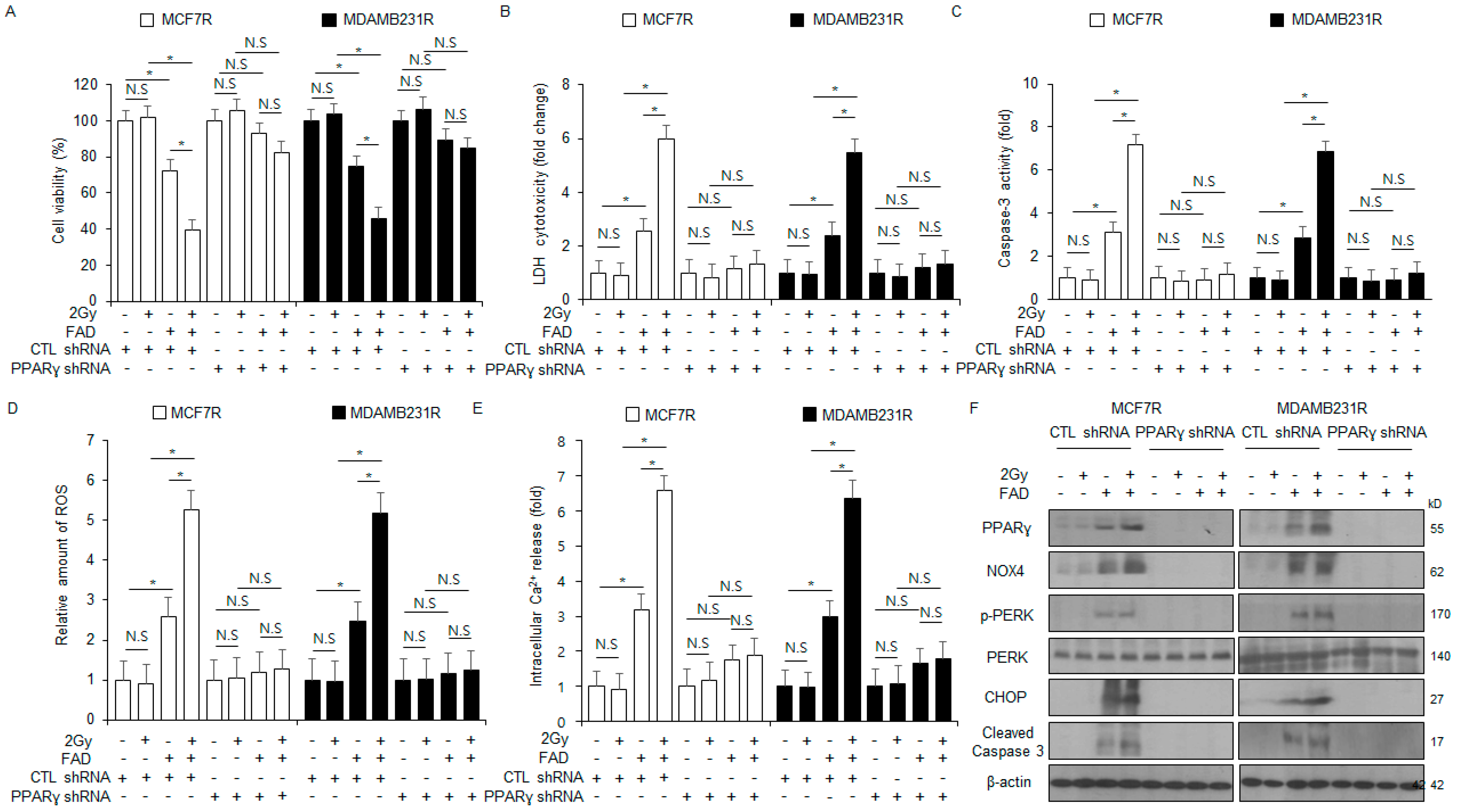 Antioxidants 13 01533 g008