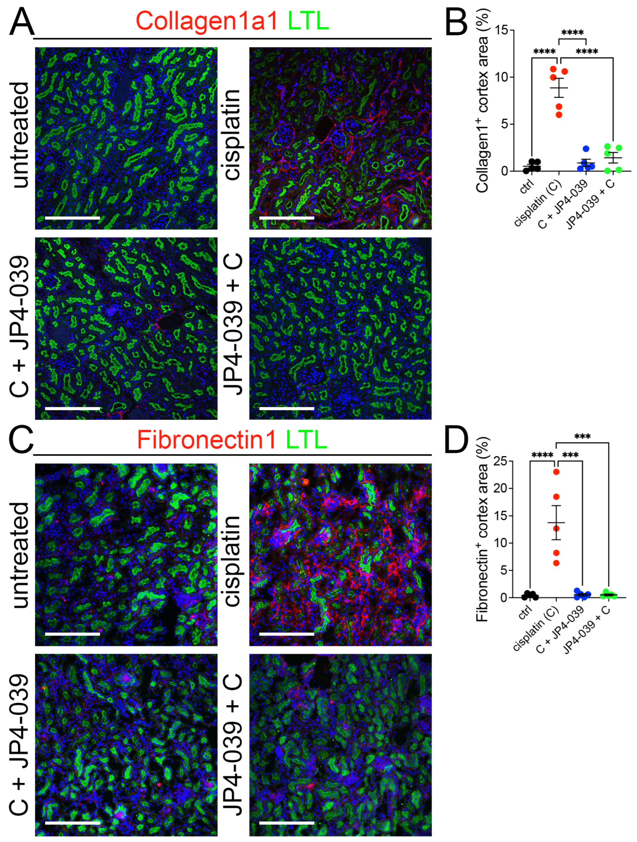 Antioxidants 13 01534 g003