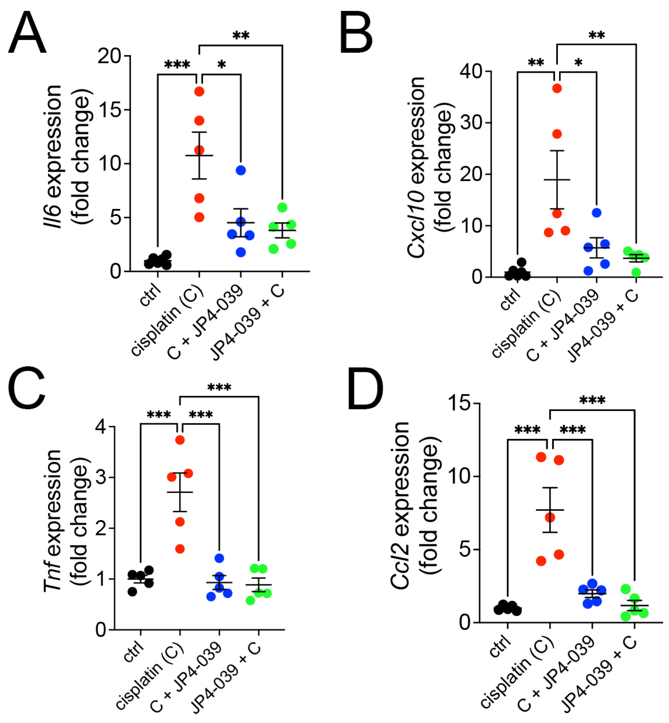 Antioxidants 13 01534 g004