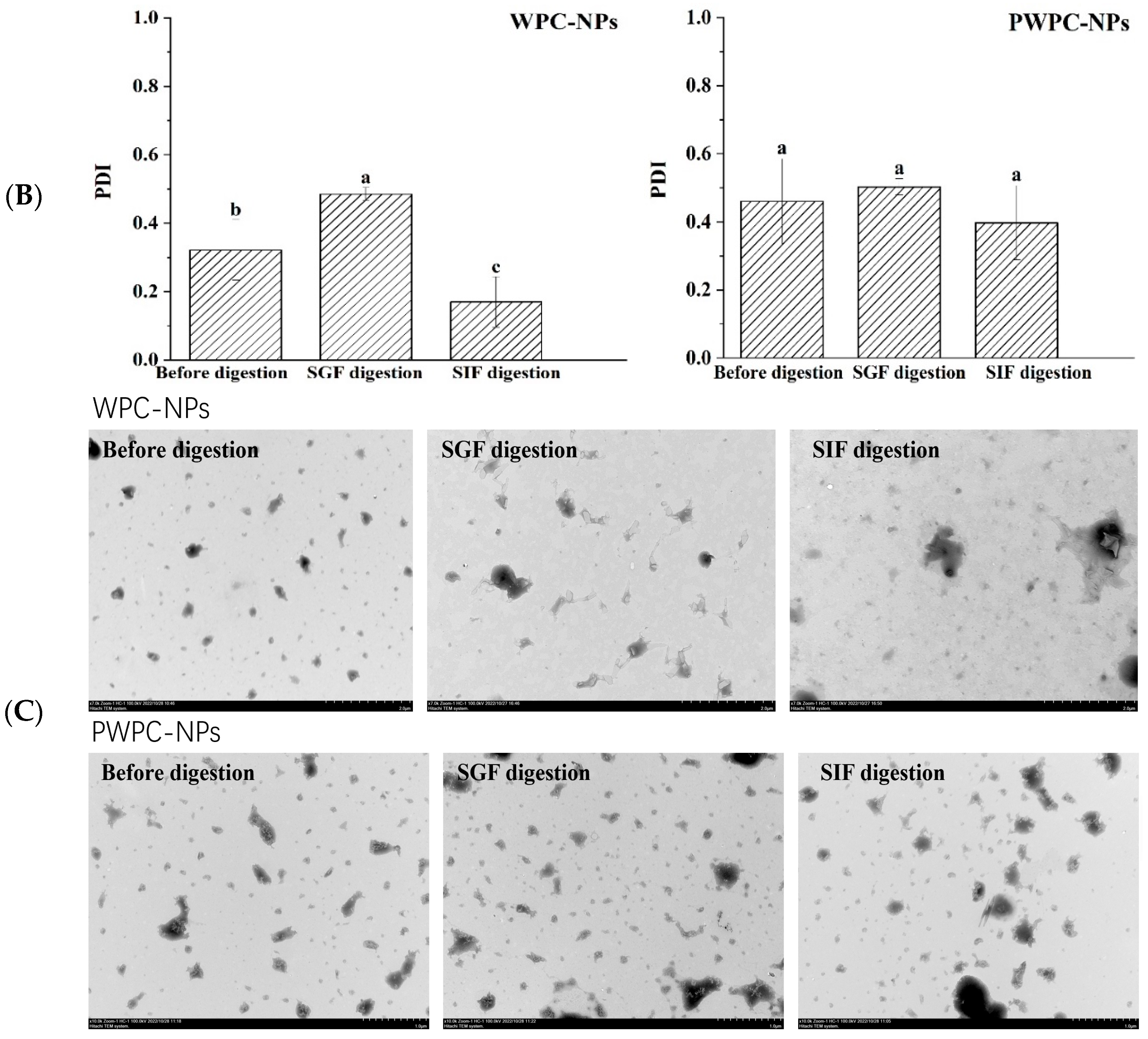 Antioxidants 13 01535 g006b