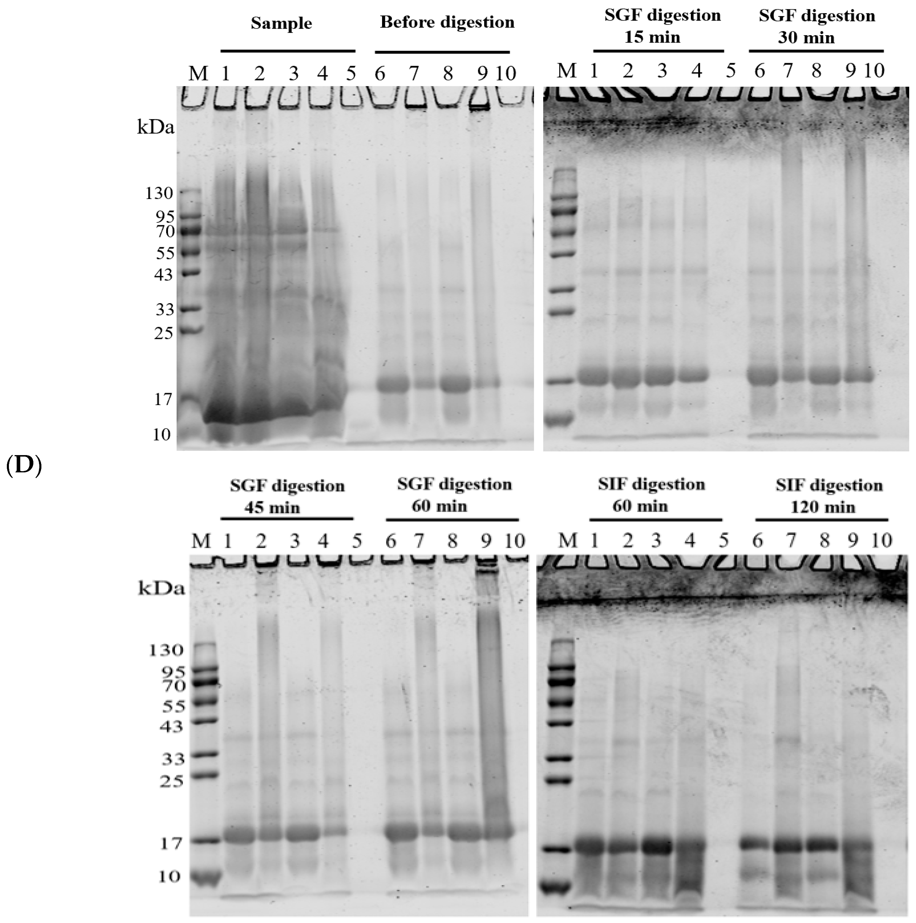 Antioxidants 13 01535 g006c