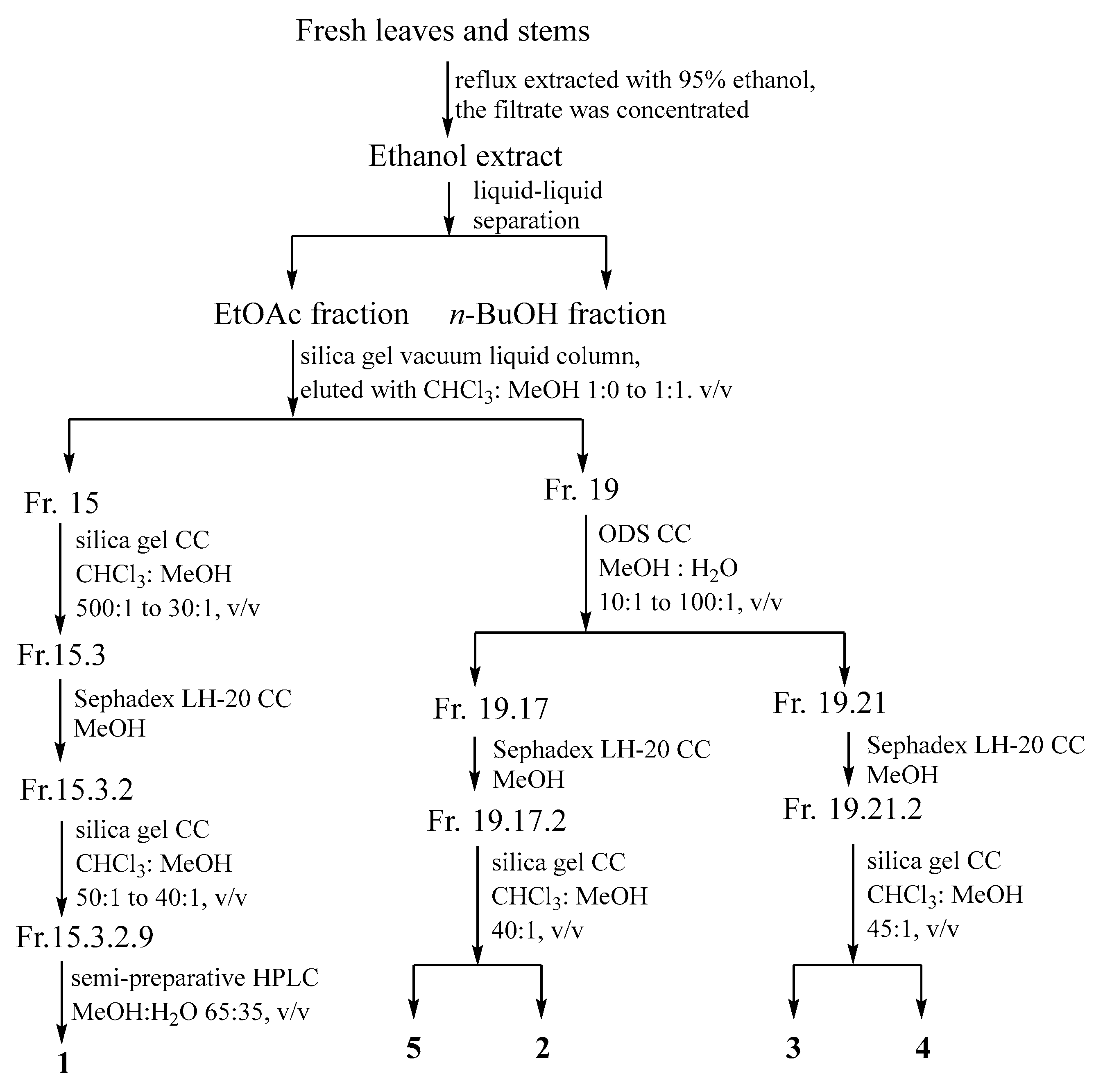 Antioxidants 13 01538 g001