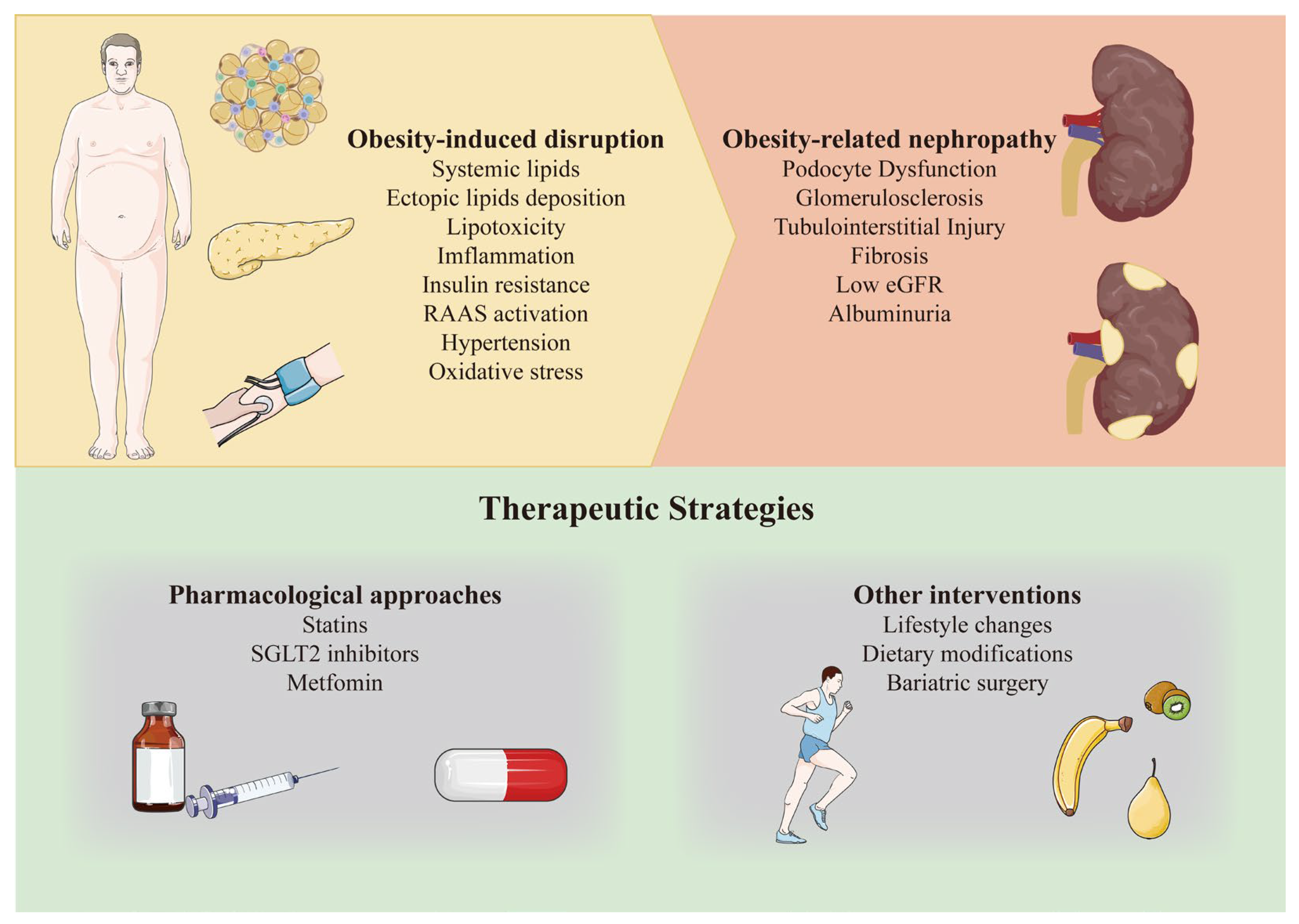 Antioxidants 13 01540 g001