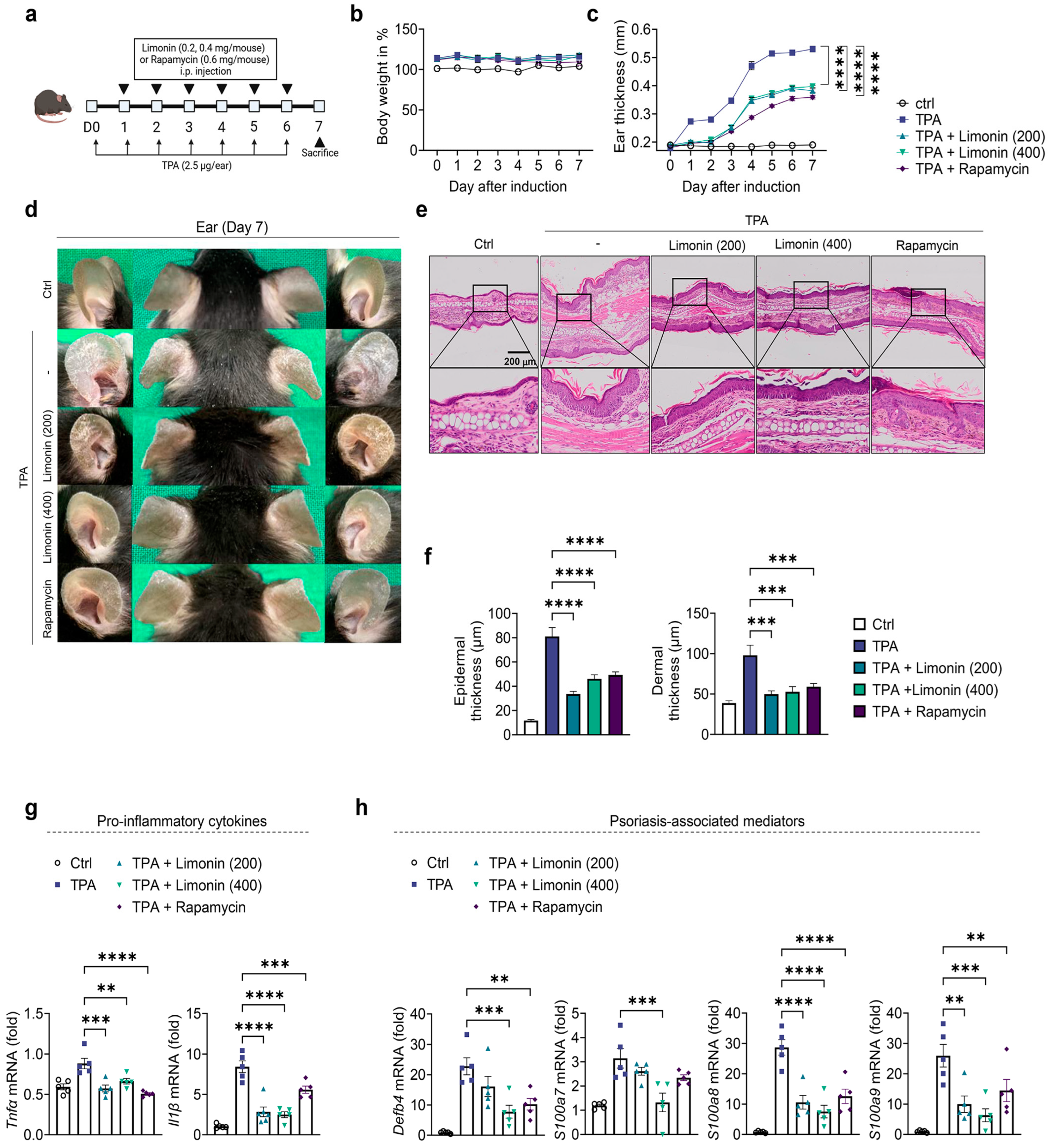 Antioxidants 13 01541 g001 Antioxidants 13 01541 g001