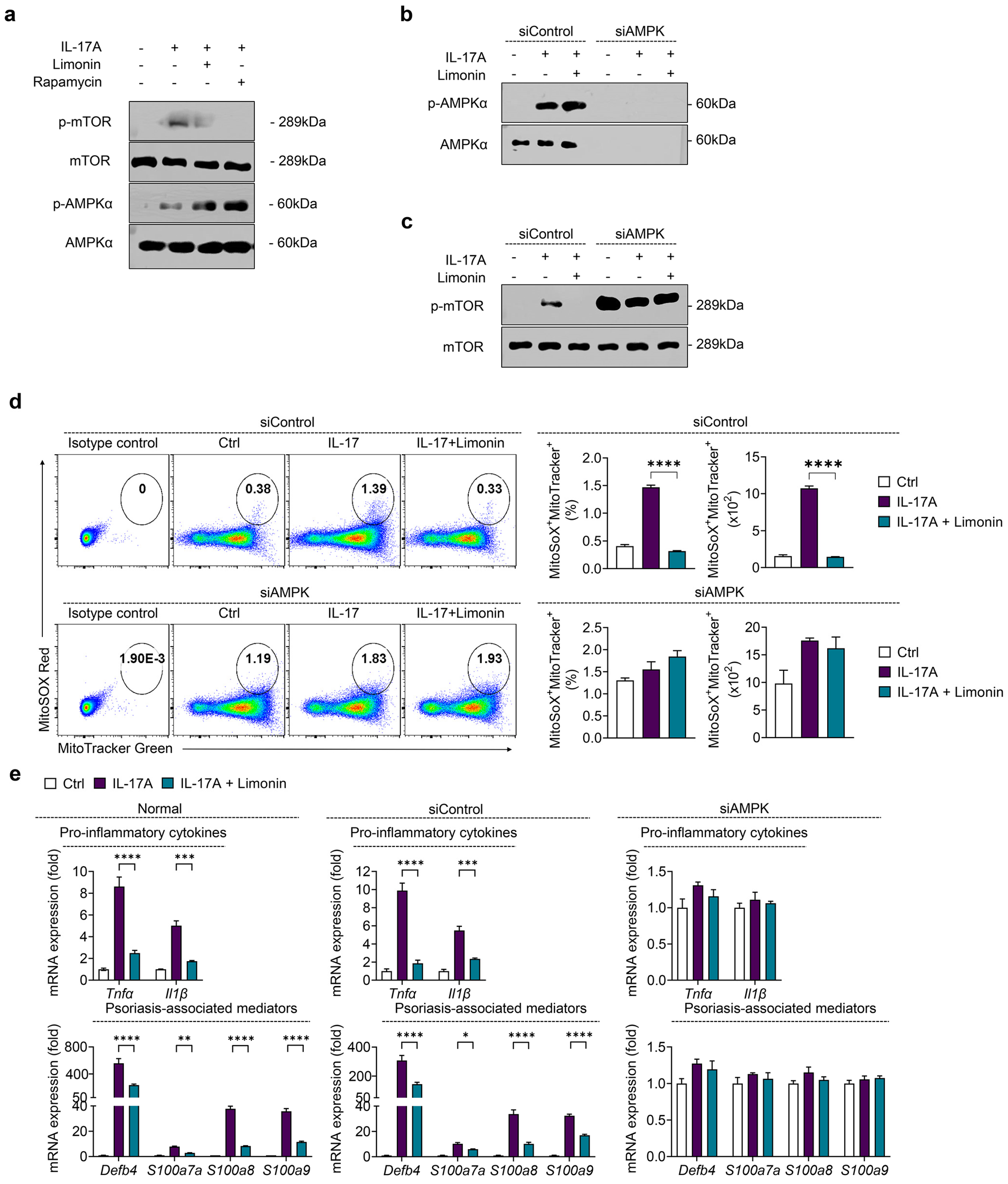 Antioxidants 13 01541 g006 Antioxidants 13 01541 g006