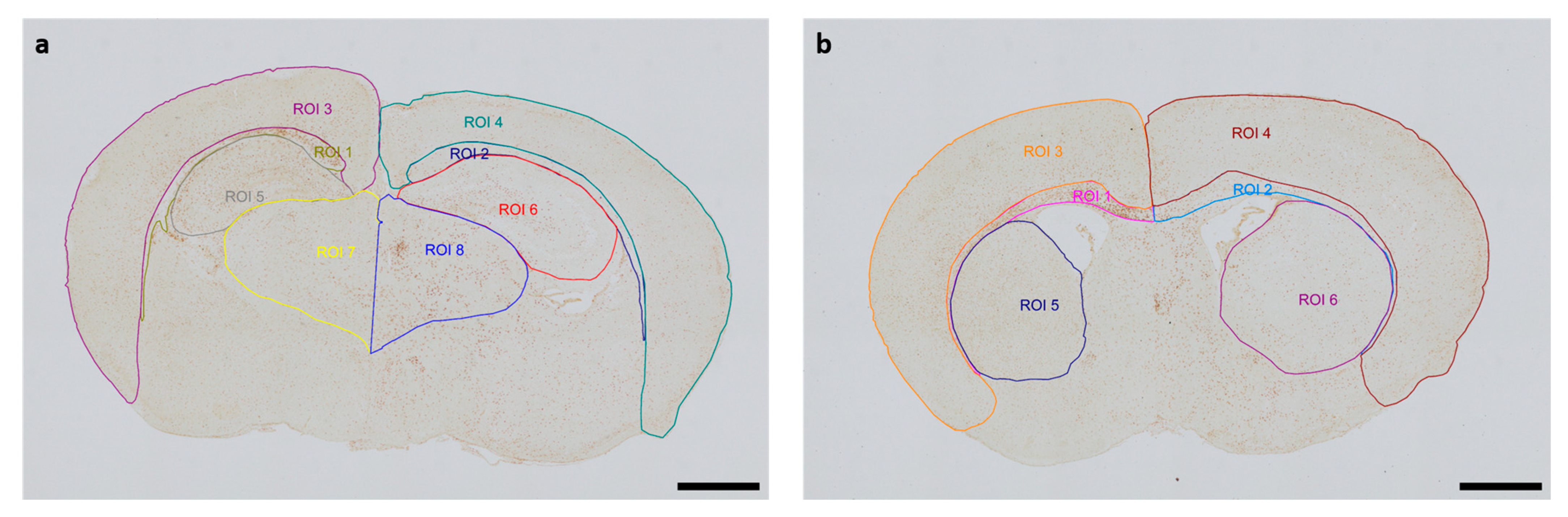 Antioxidants 13 01542 g001