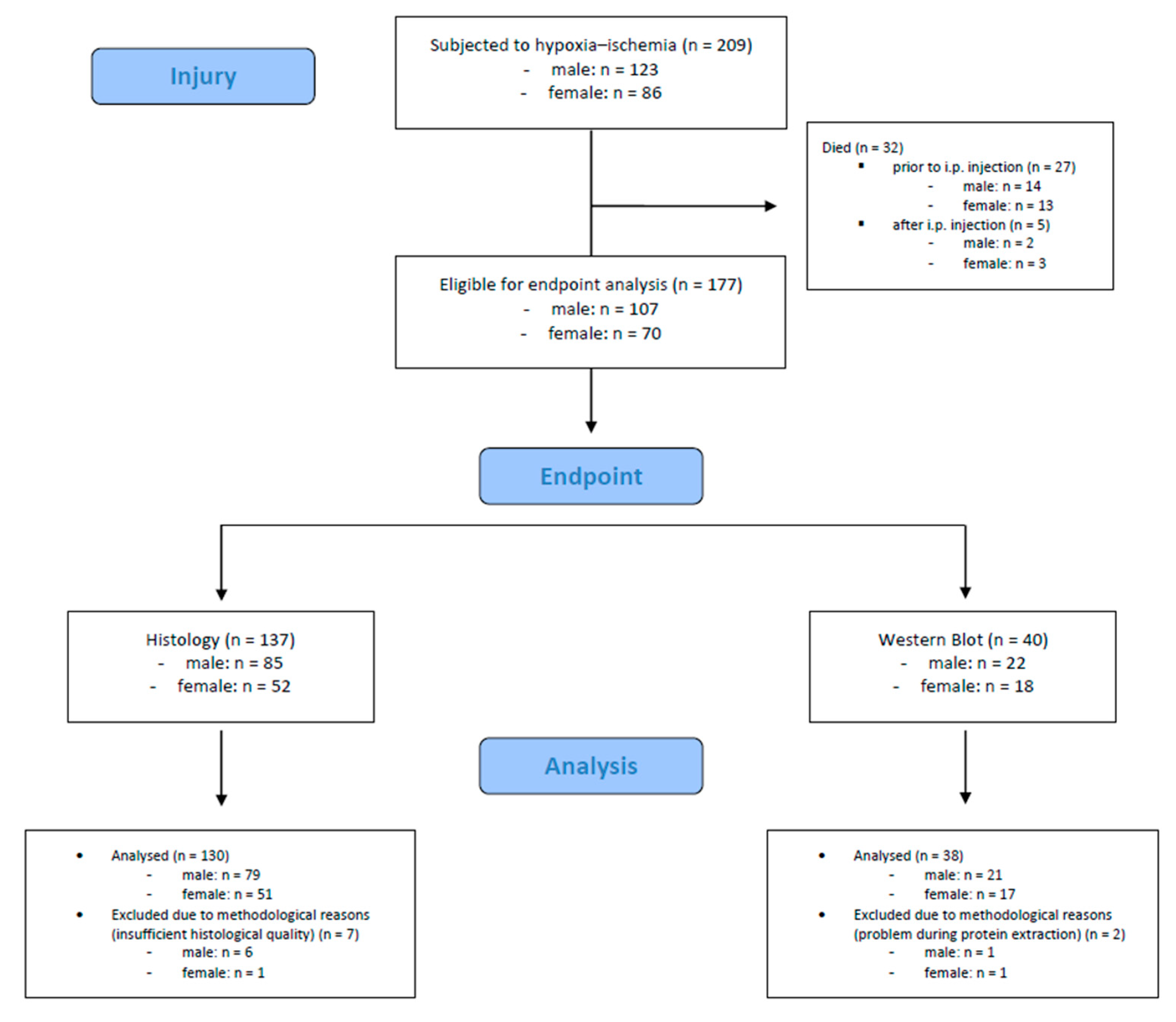 Antioxidants 13 01542 g002