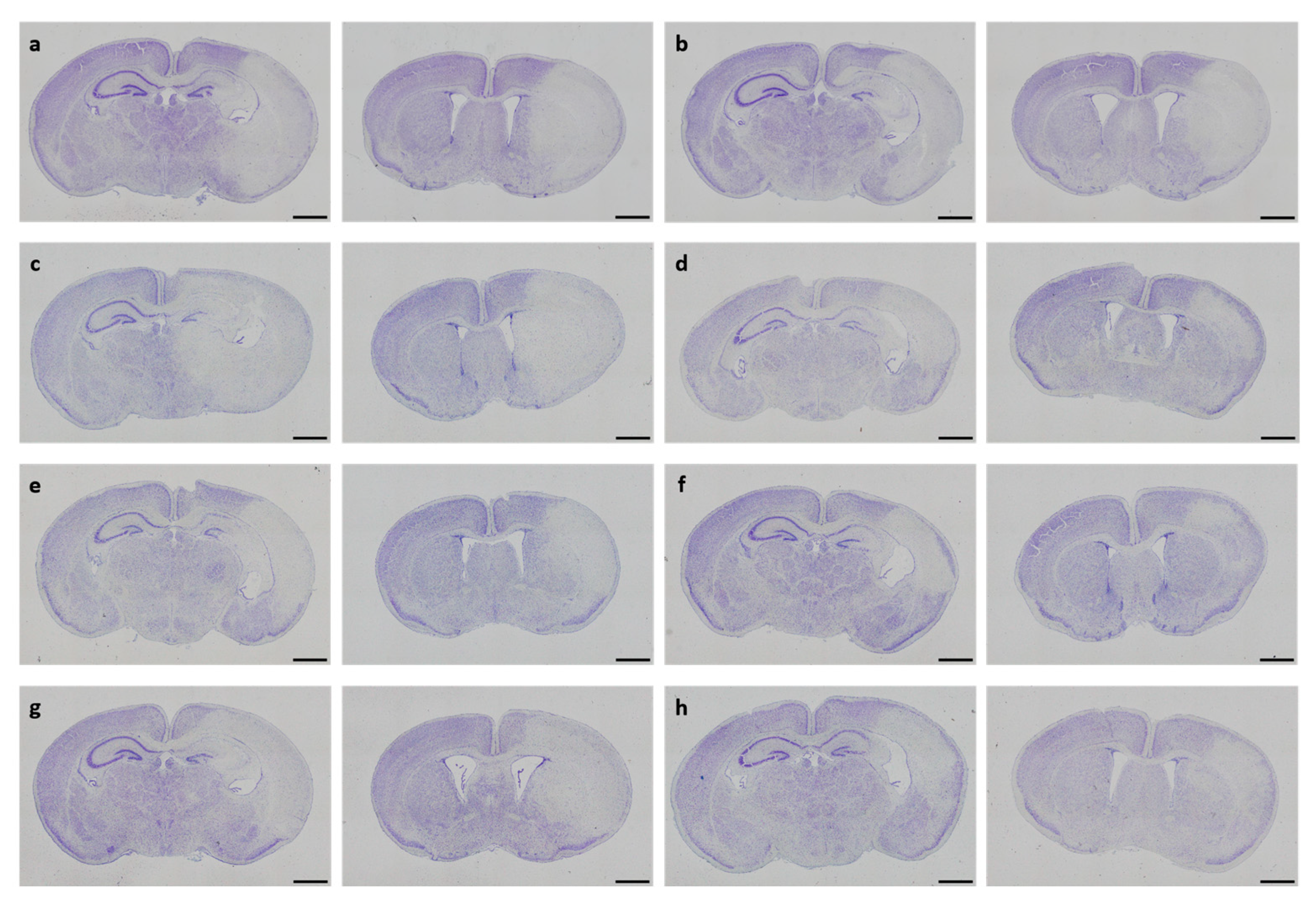 Antioxidants 13 01542 g003