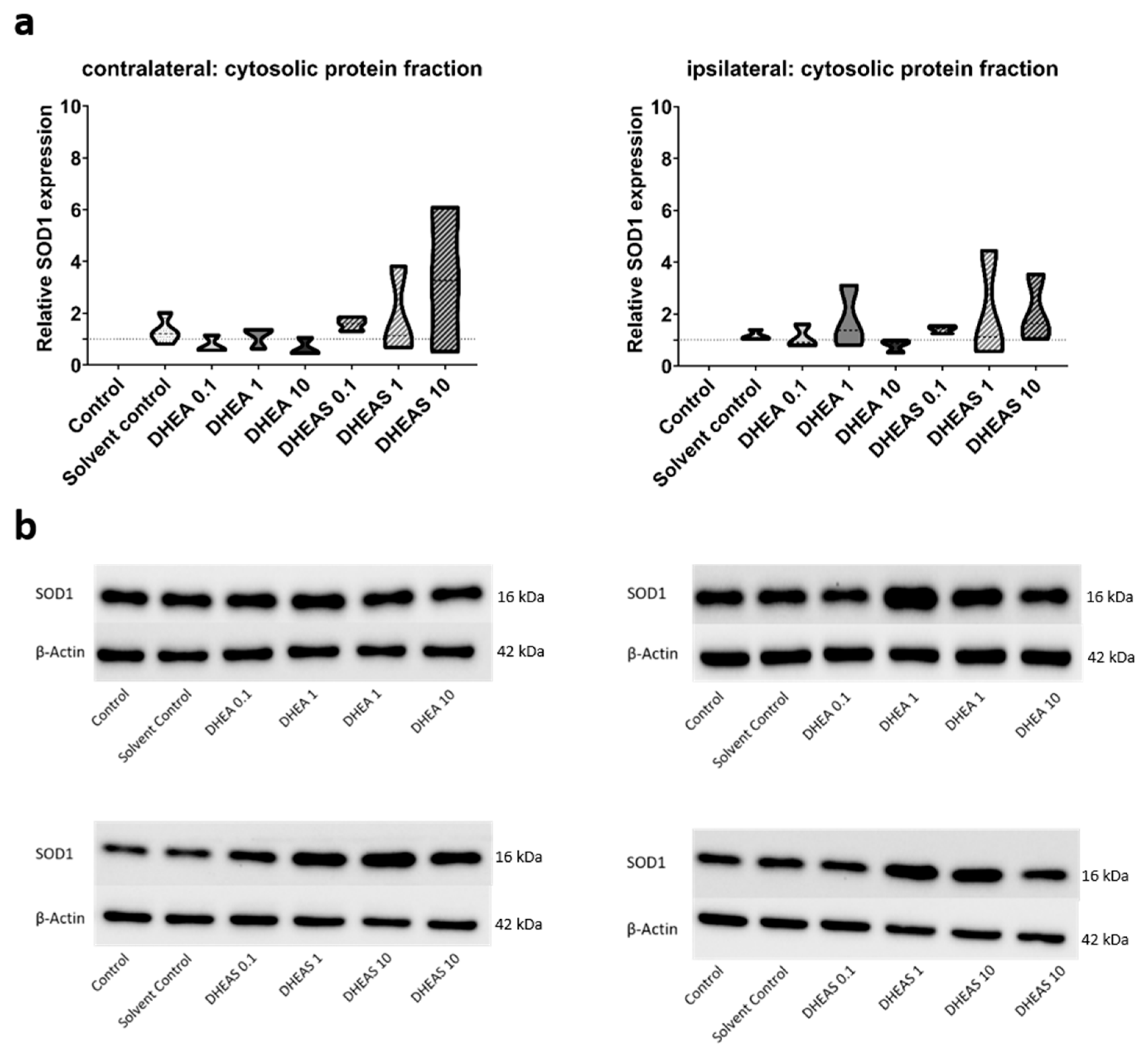 Antioxidants 13 01542 g007